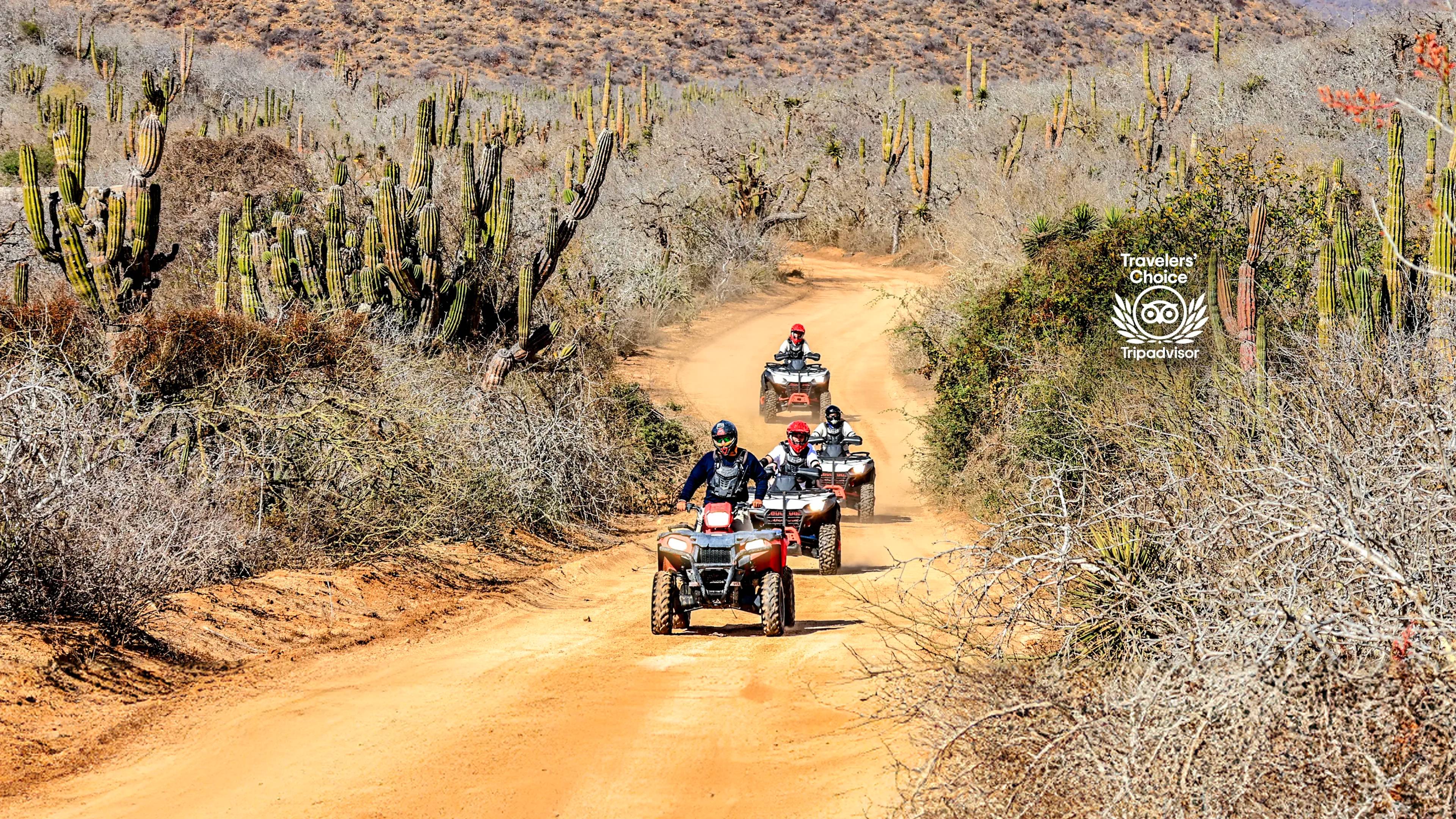 Experience the thrill of Adventure Tour in Los Cabos, riding ATVs through scenic desert landscapes