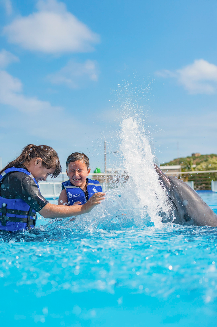 Couple enjoying a dolphin swim experience in Cabo San Lucas.