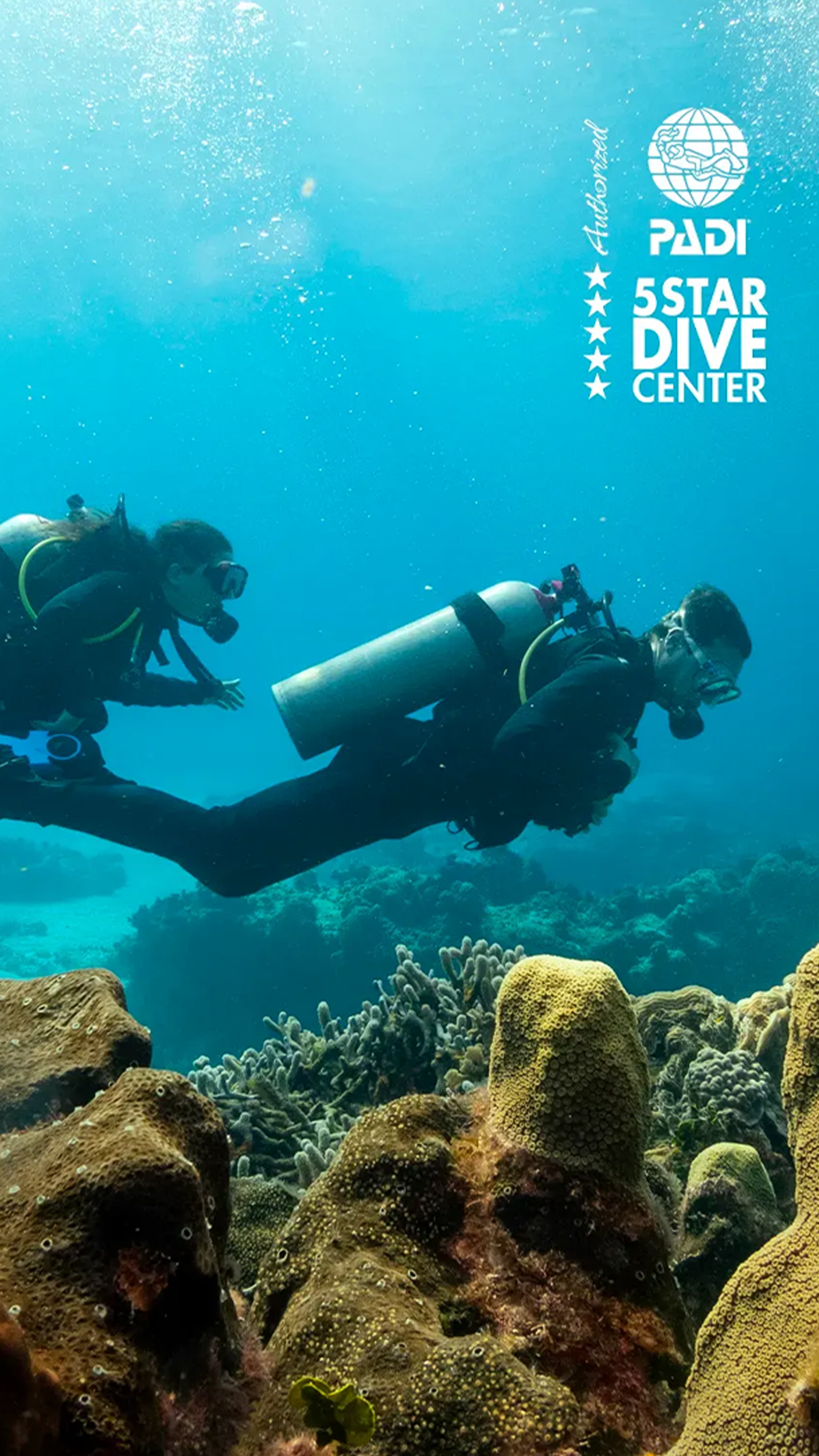 Dos buzos en una excursión de buceo en Los Cabos