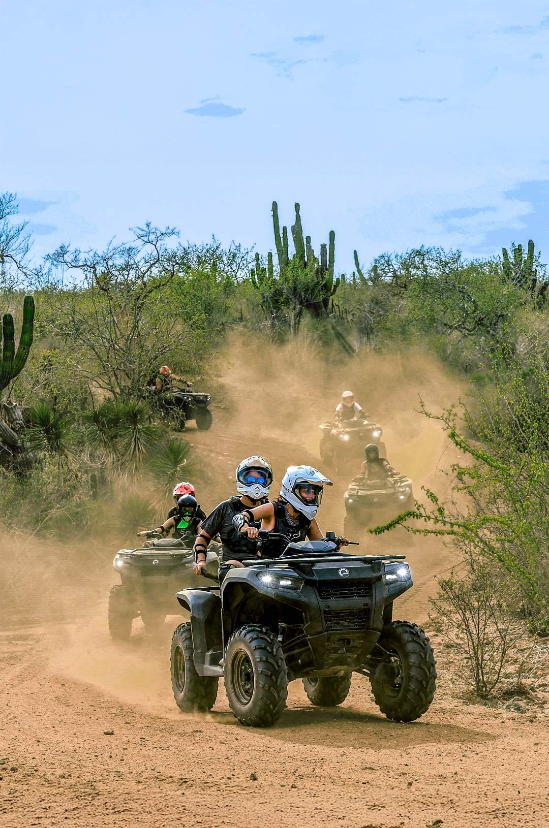 A group of ATV riders navigates a dusty desert trail surrounded by tall cacti and dense brush under a clear blue sky.