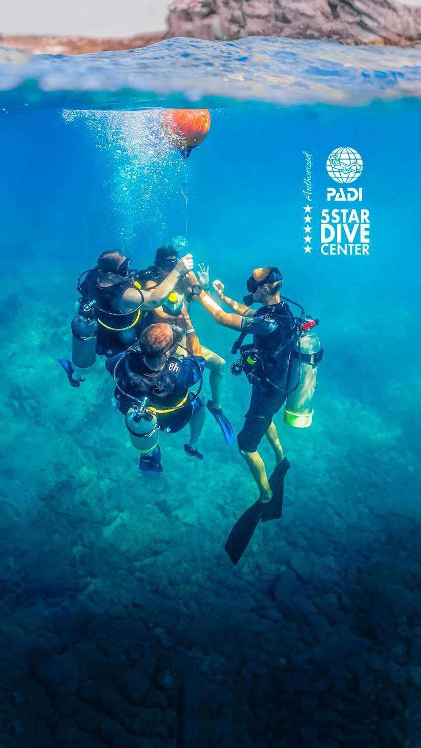 Join scuba diving lessons in Los Cabos, mastering underwater skills with expert instructors in clear blue waters.