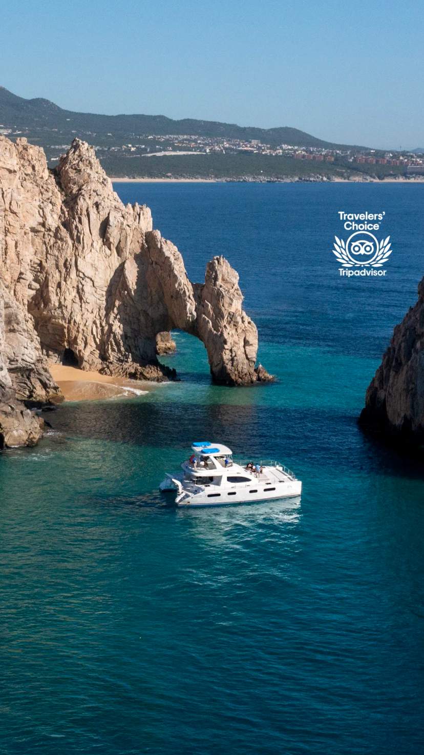 Explore and snorkel around the iconic Arch of Cabo San Lucas, enjoying stunning views and marine life.