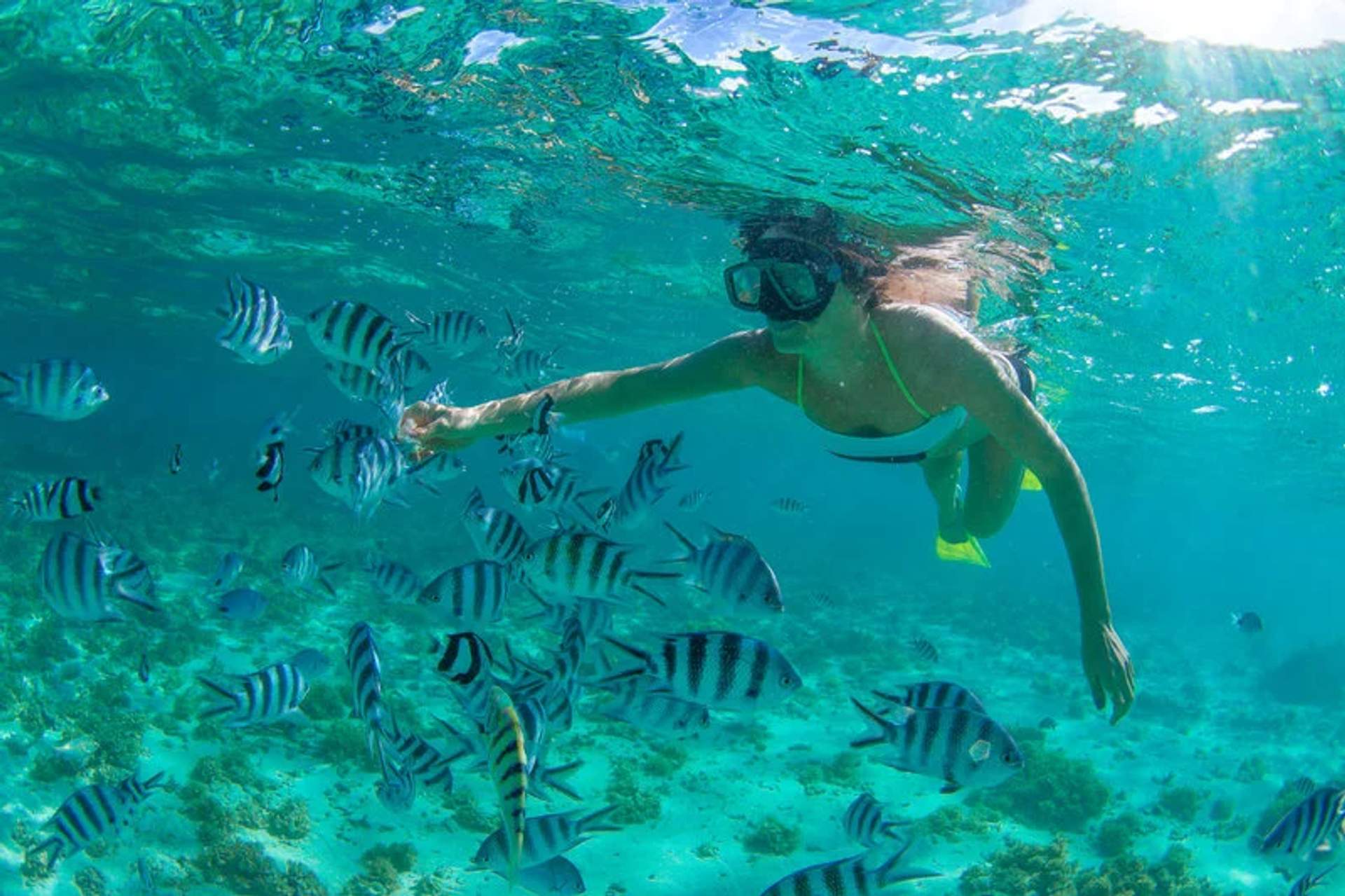A woman snorkeling in clear turquoise waters, surrounded by a school of striped fish. She is wearing a snorkel mask and fins, reaching out to touch the fish as she explores the vibrant underwater environment.