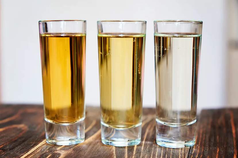 Tequila tasting in Cabo