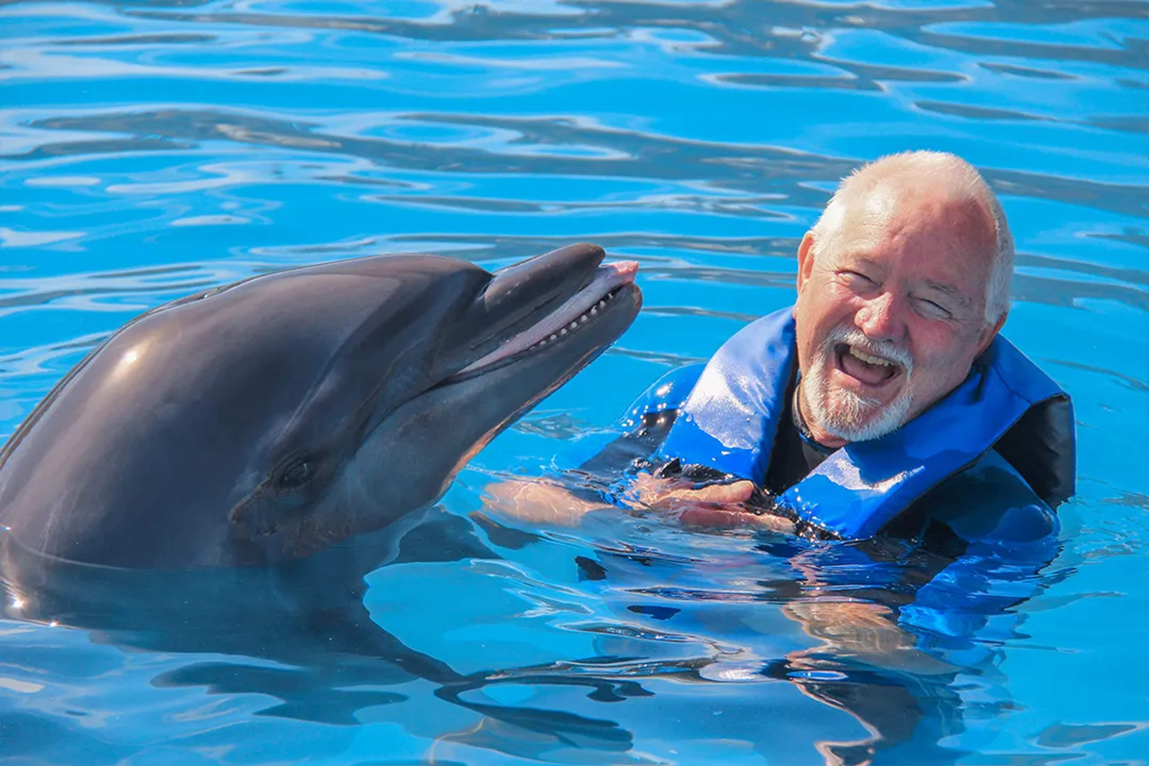 A Man In A Blue Wetsuit Happily Interacts With A Smiling Dolphin In A Pool, With Bright Blue Water As The Backdrop.