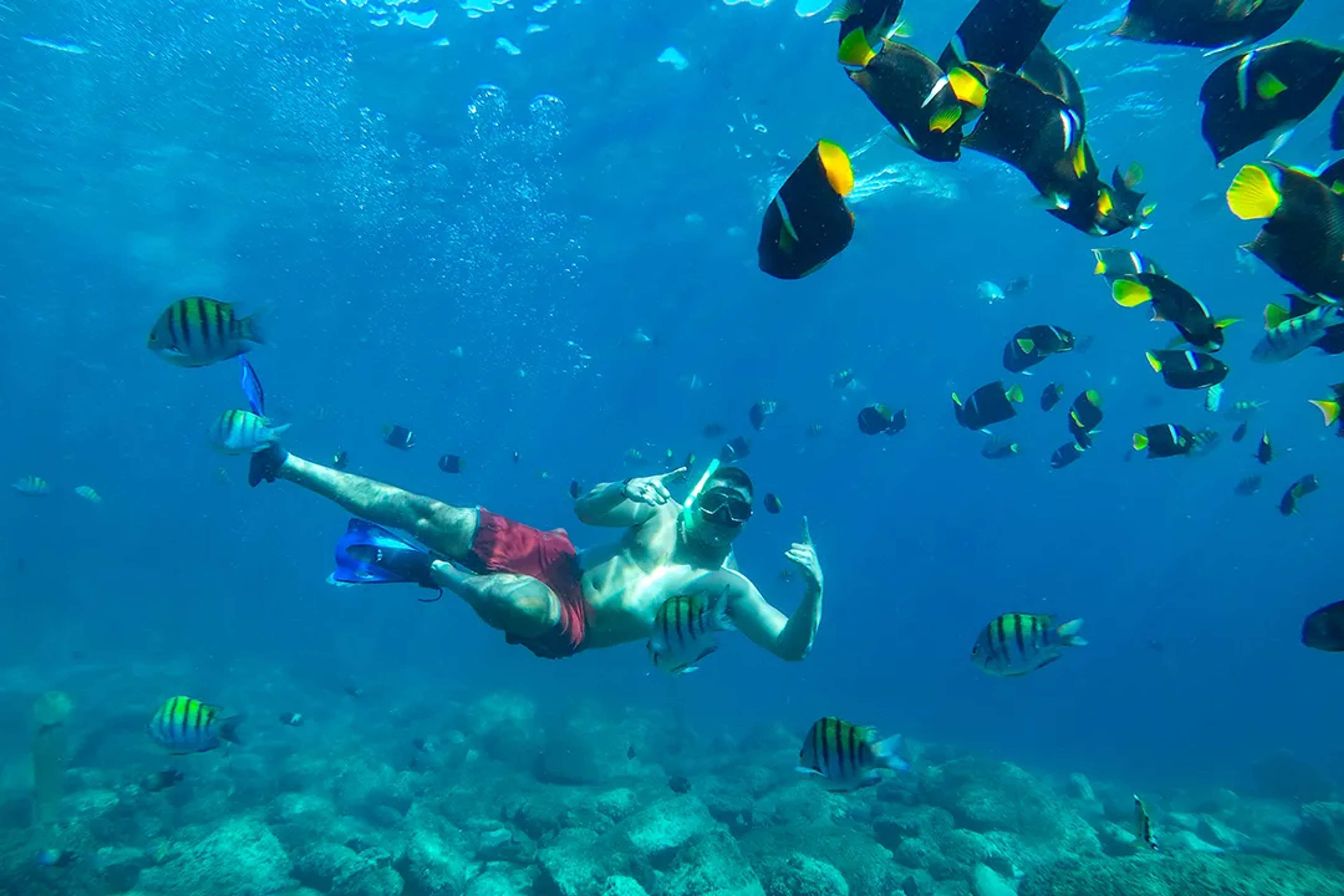 Man snorkeling in clear tropical waters surrounded by colorful fish, coral reef and sunlight filtering below