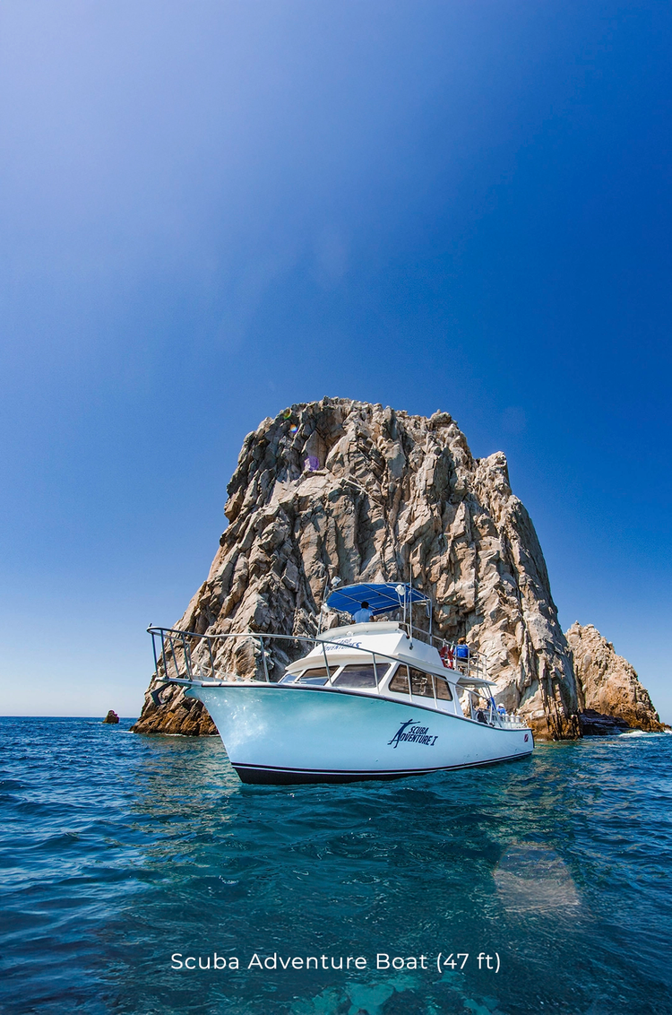Barco de buceo privado frente a formaciones rocosas icónicas en Cabo San Lucas, bajo un cielo despejado.