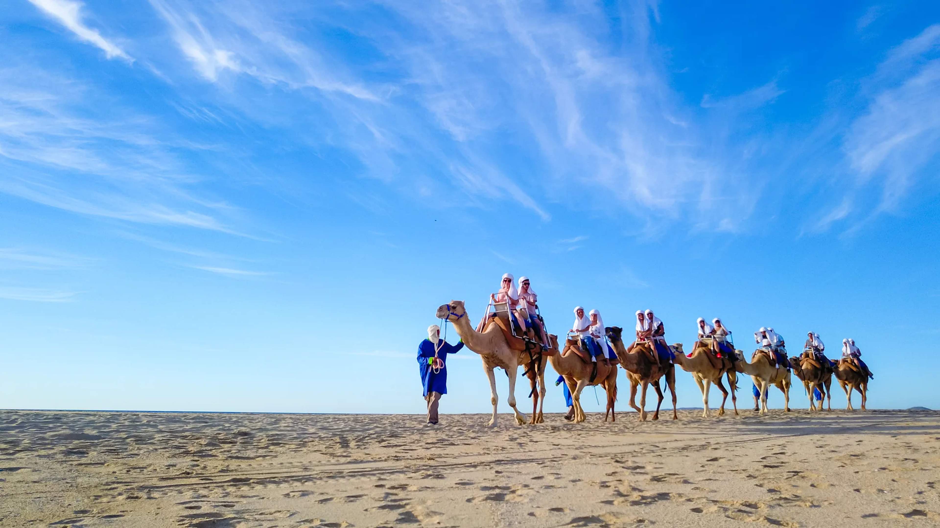 A line of tourists rides camels single-file along a sandy Pacific beach under a bright blue sky.