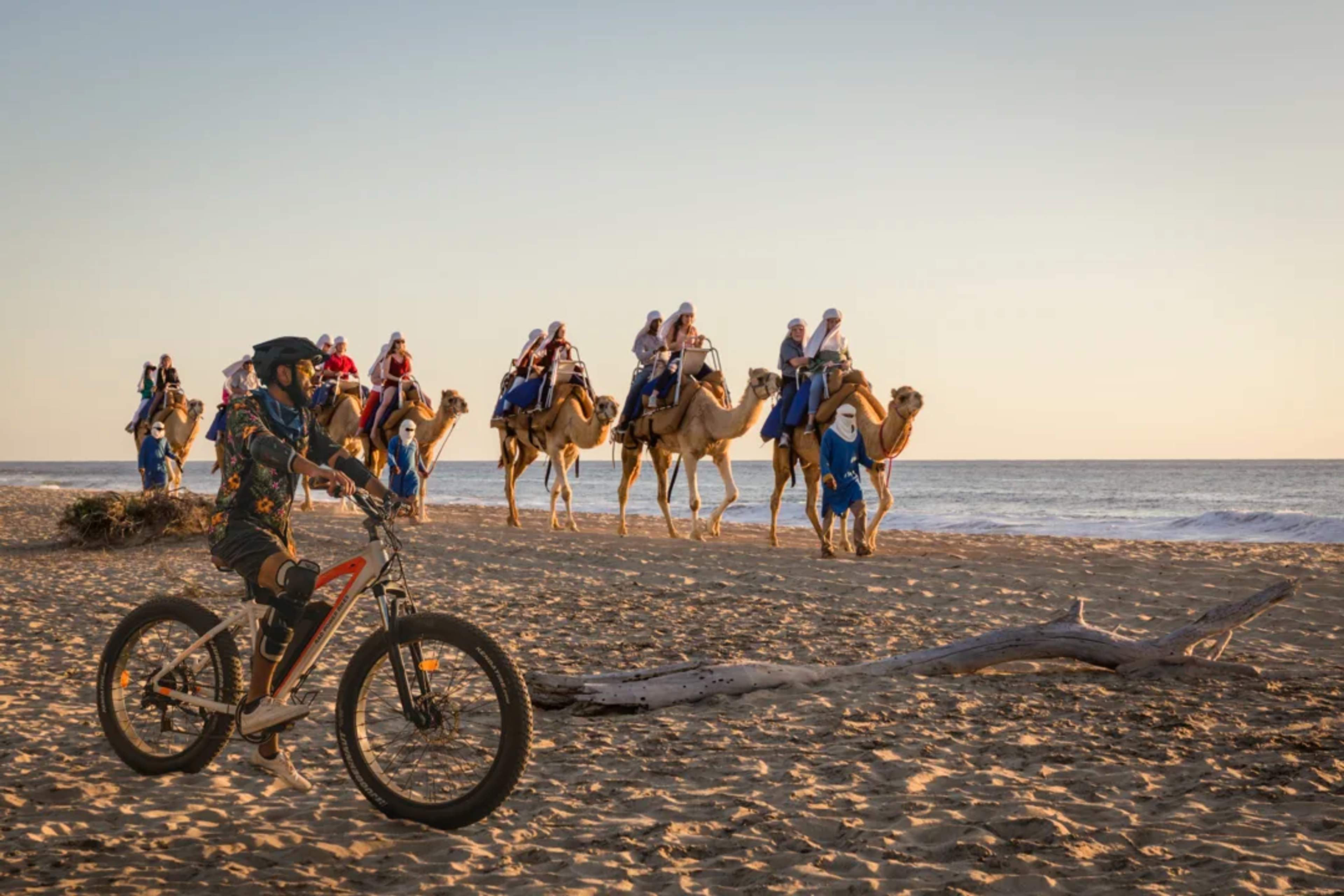 Recorre la playa en camello o en e-bike—¡descubre la costa de Cabo a tu ritmo!