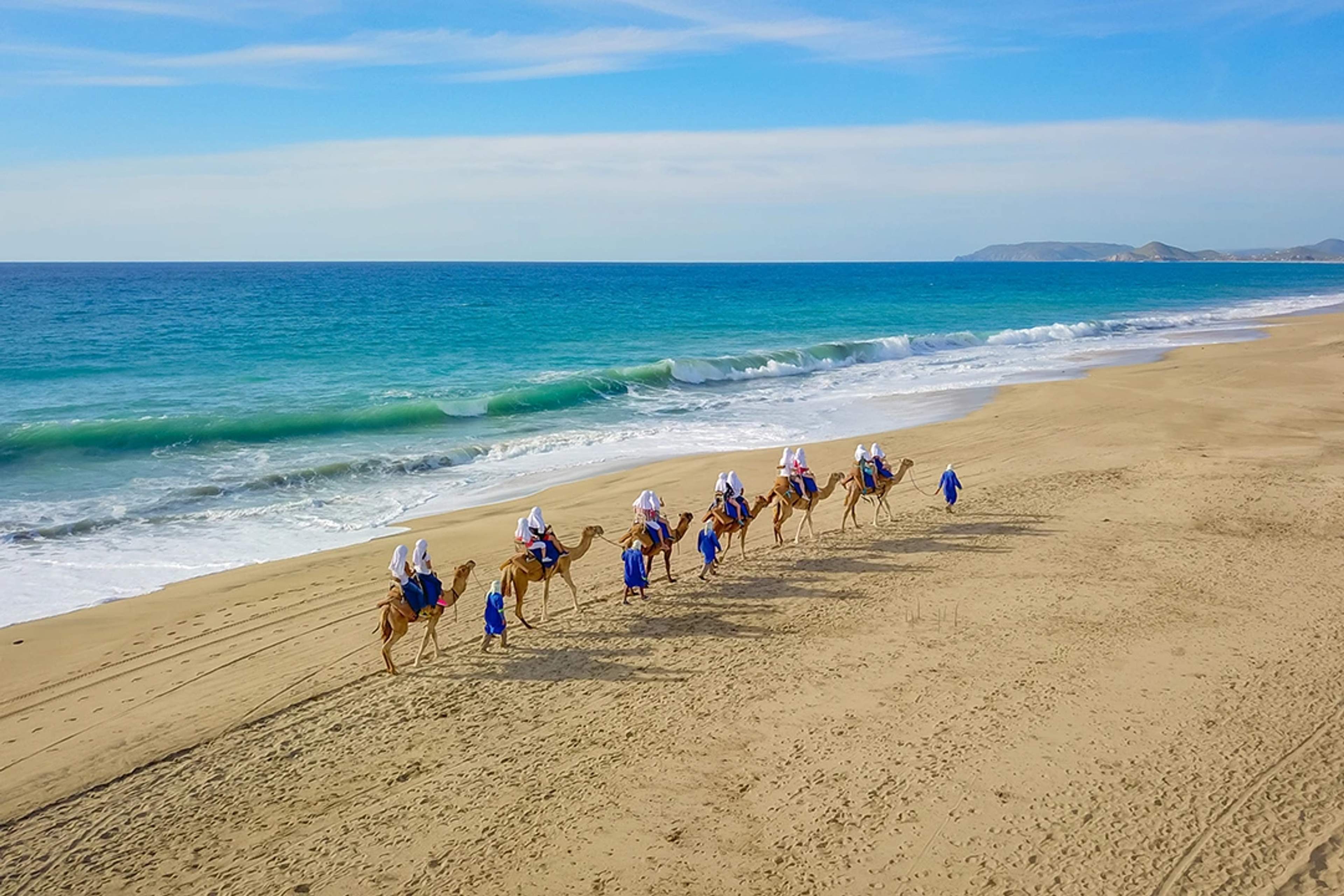 Fila de camellos con jinetes vestidos de azul y blanco caminando por una playa de arena junto a olas turquesas bajo un cielo despejado.