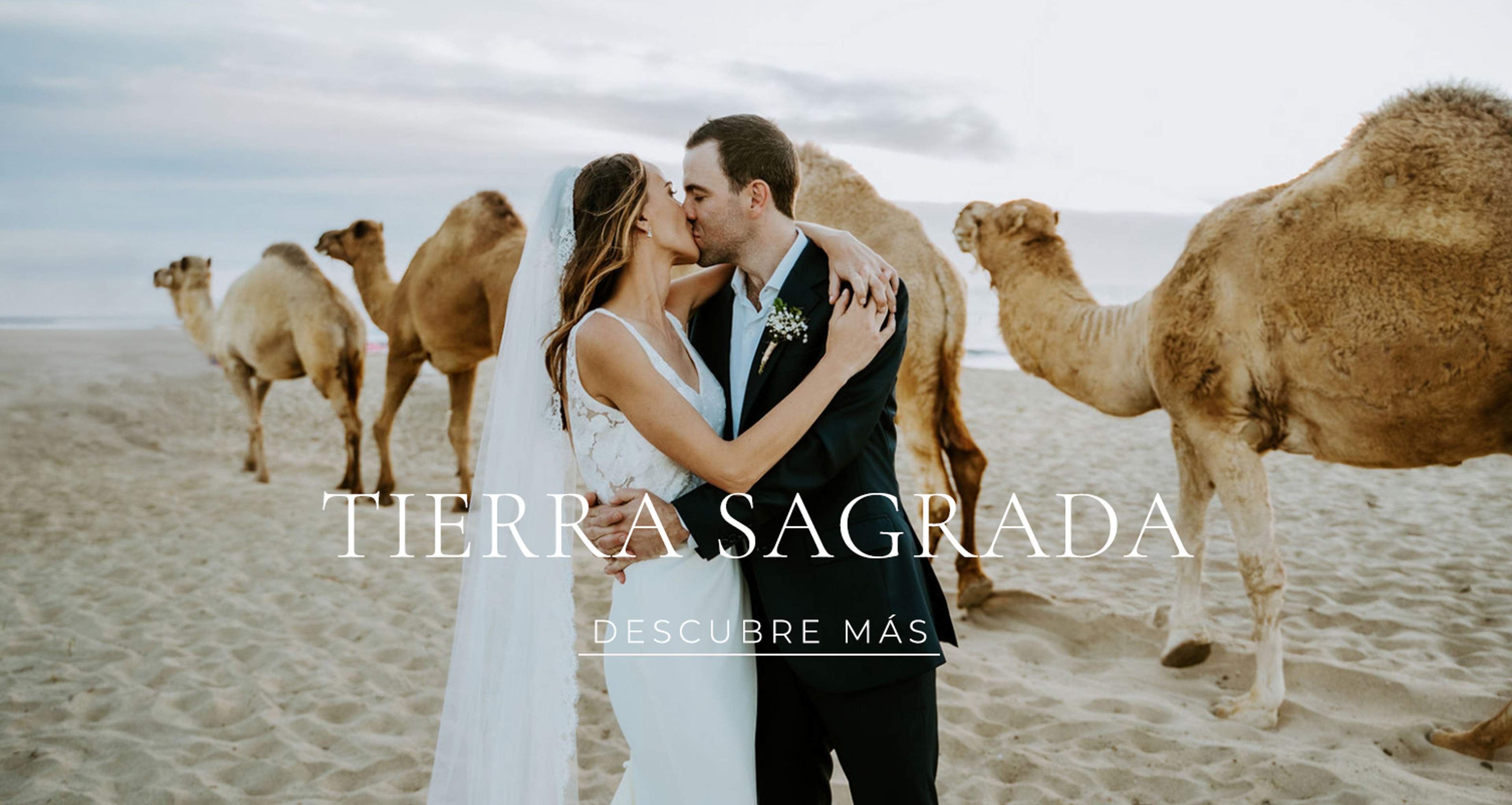 Banner español 