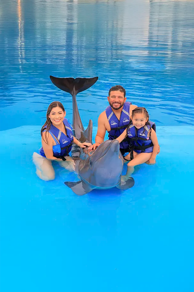 Family enjoying a dolphin encounter in Cabo San Lucas.