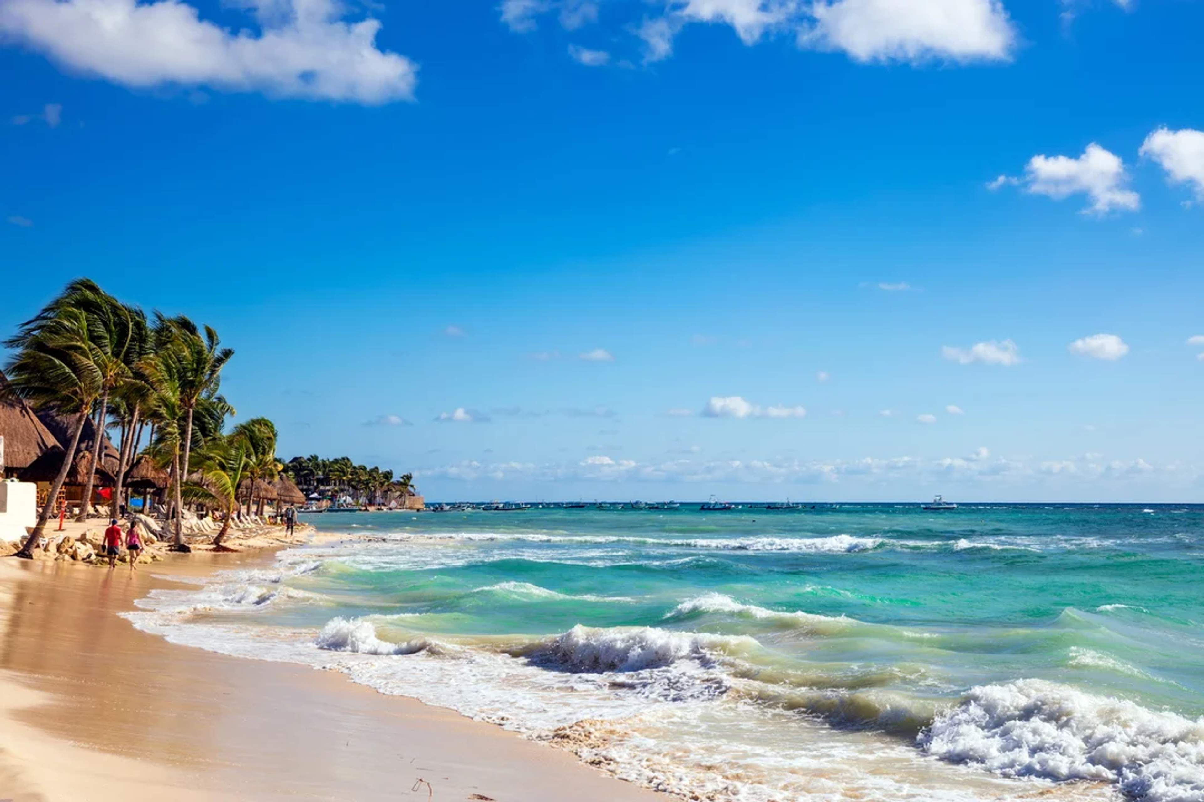 Palm-lined beach with turquoise waves and blue skies, perfect for a sunny and relaxing getaway.