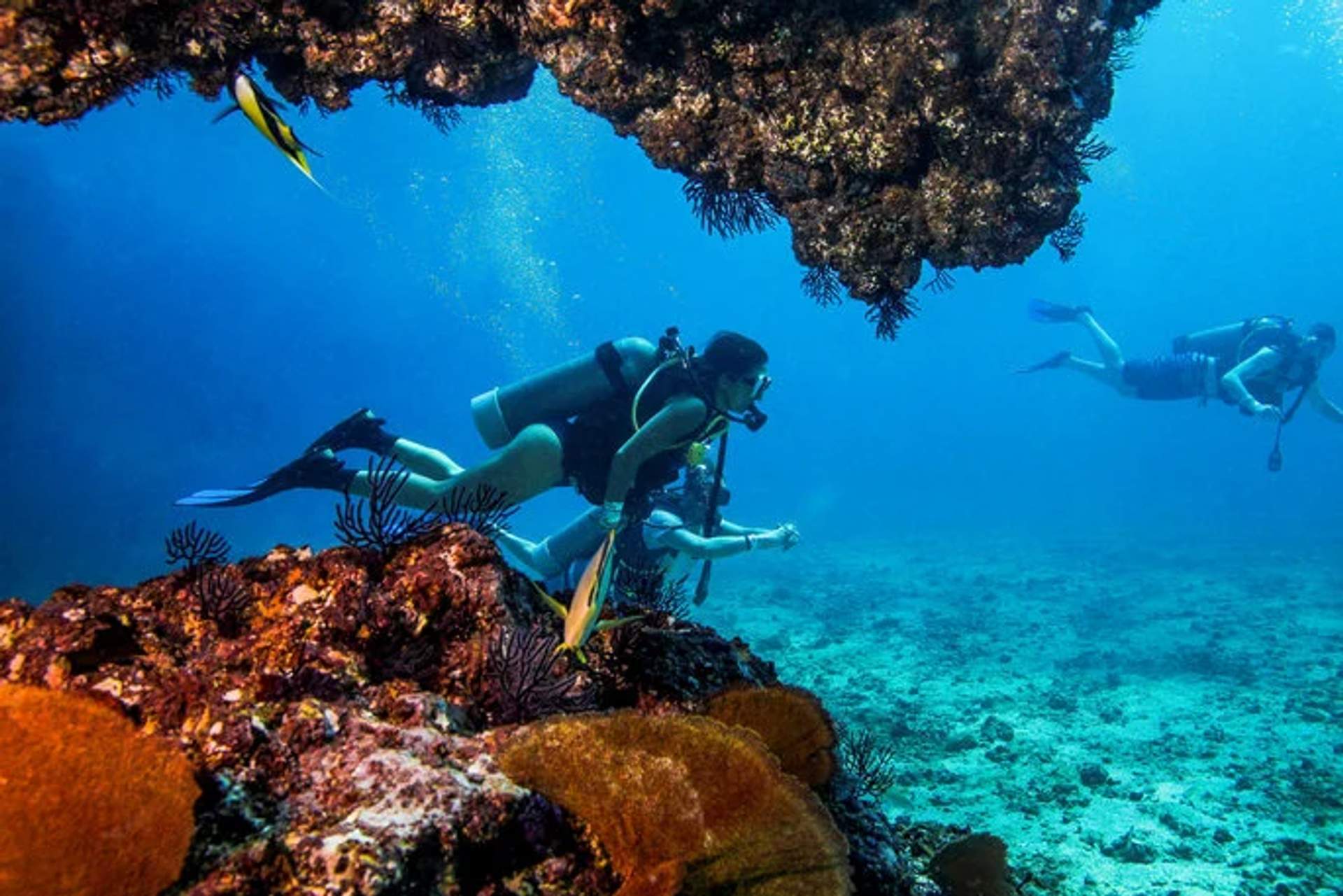 Two scuba divers exploring a vibrant coral reef, with one swimming through a rocky arch while the other is in the background. The scene is filled with colorful corals and marine life, set against the clear blue water of the ocean. Brightly colored fish swim around the divers, adding to the lively underwater environment.