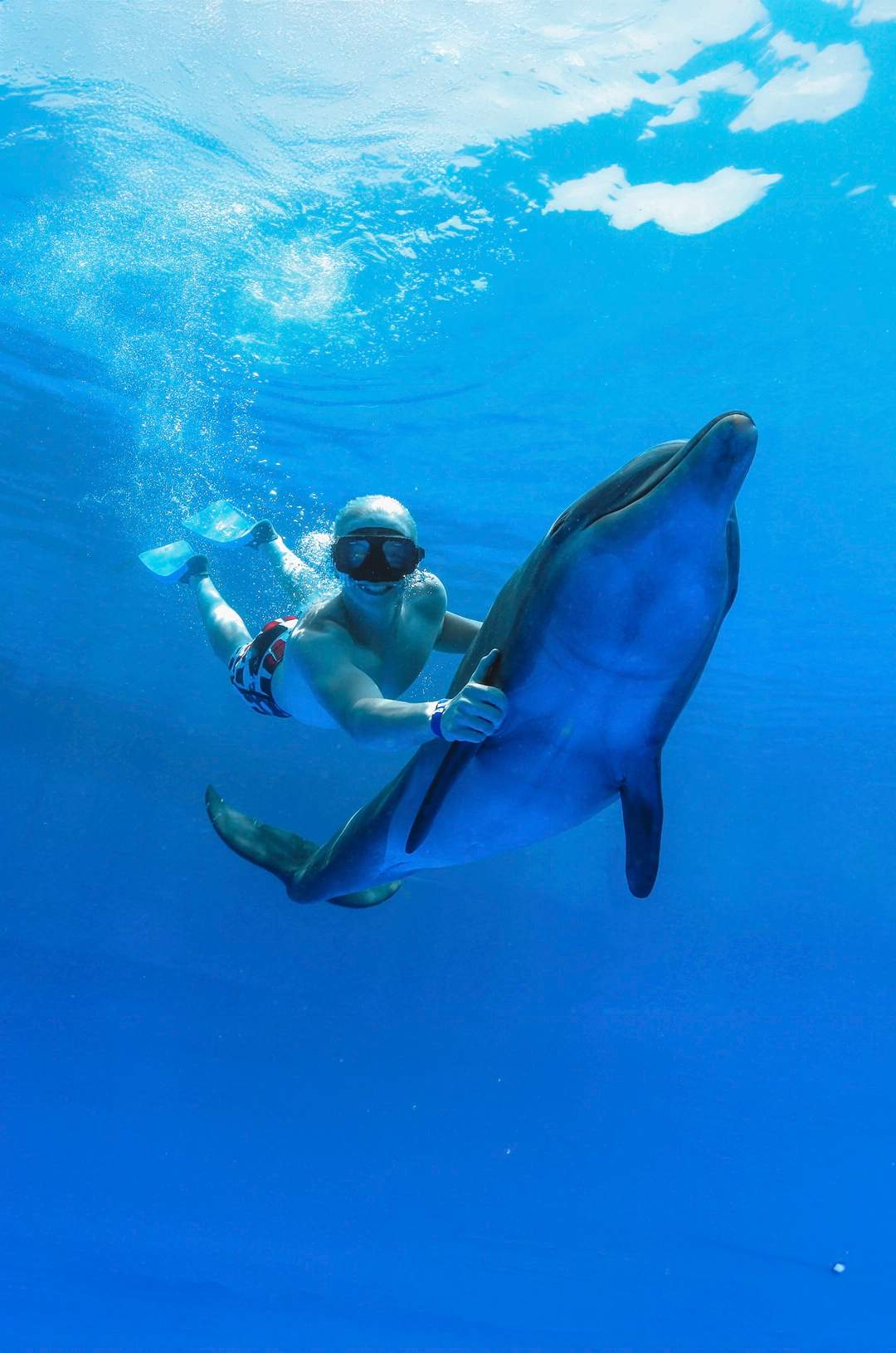 Man enjoying an underwater dolphin swim experience in Cabo San Lucas.