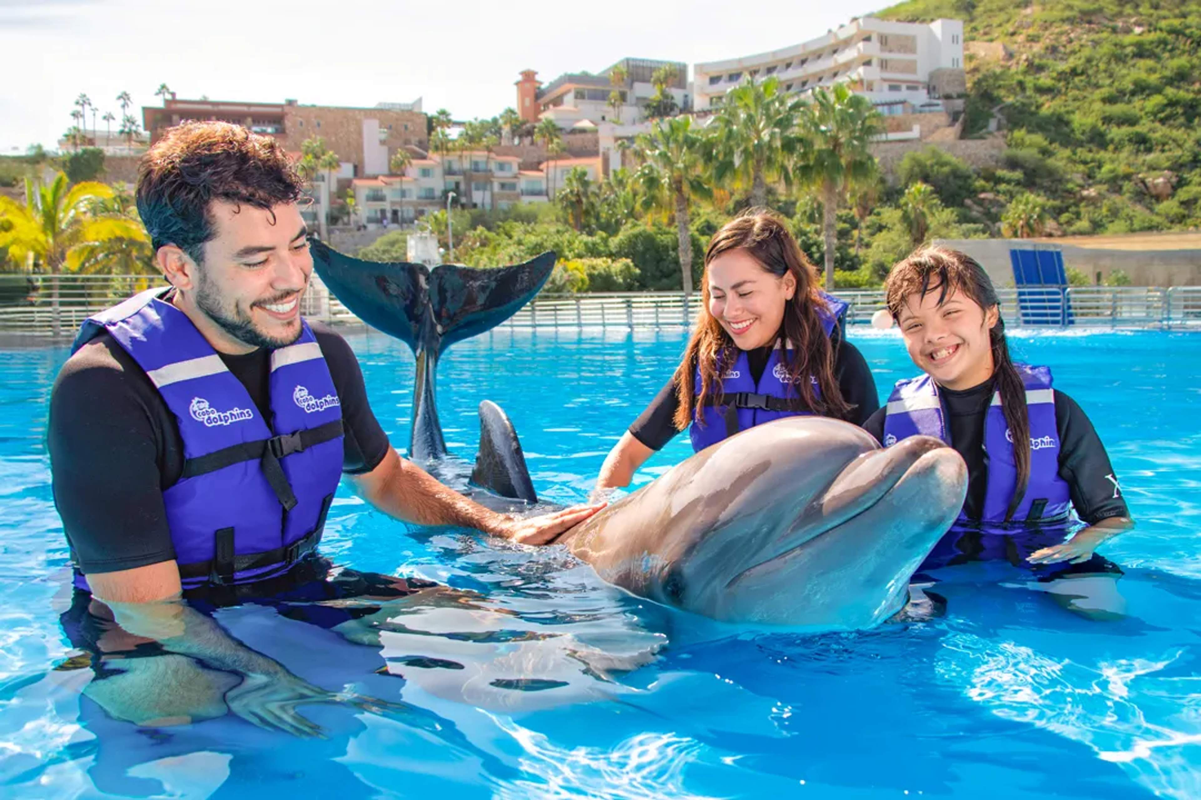 Cabo Dolphin Swim: How To Select The Right Dolphin Experience For Your Family