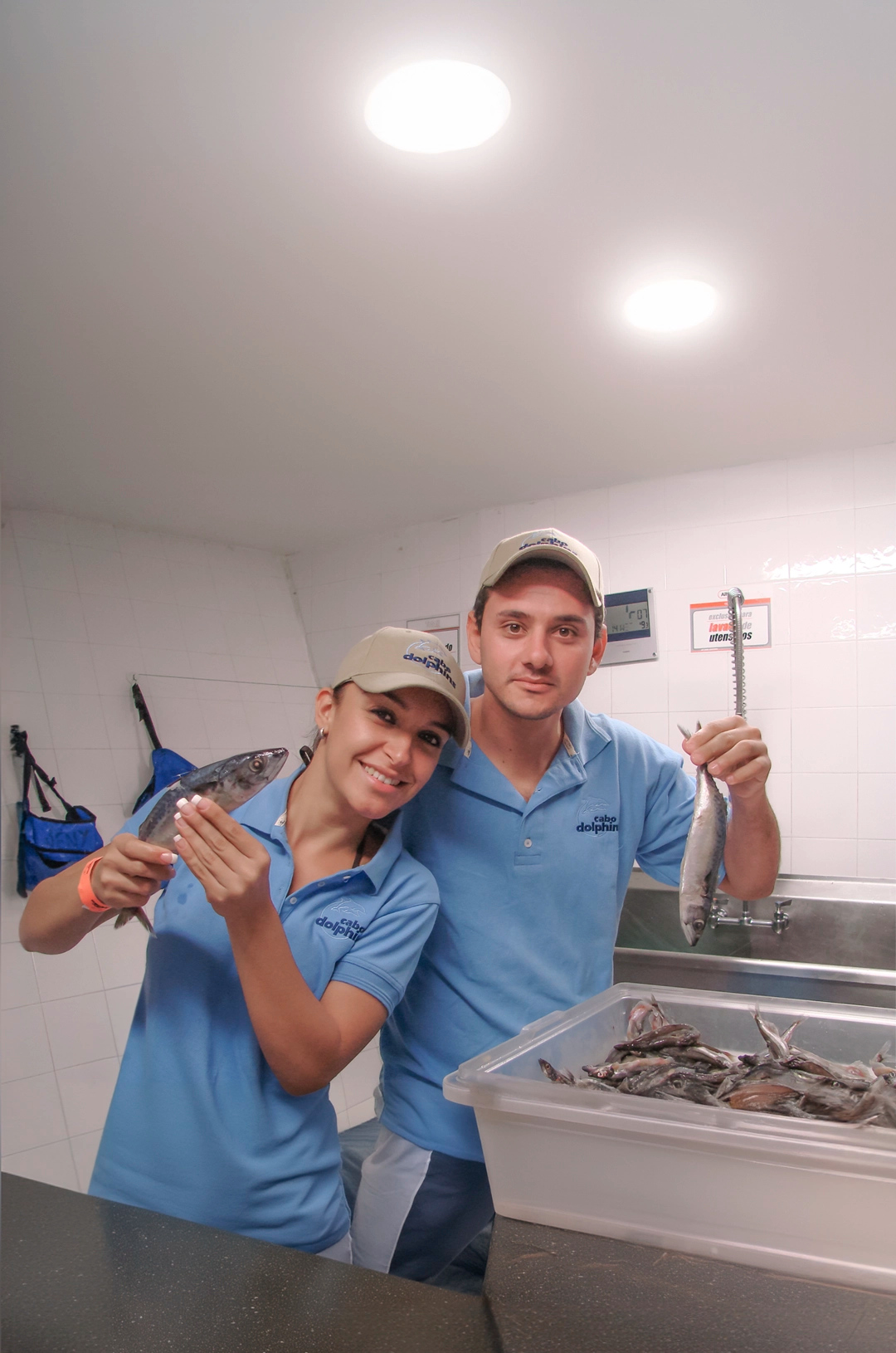 Dolphin trainers in Cabo preparing food for a training session.