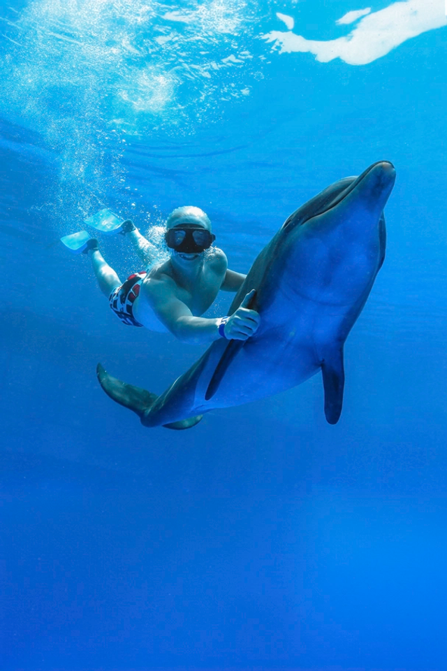 Man enjoying an underwater dolphin swim experience in Cabo San Lucas.