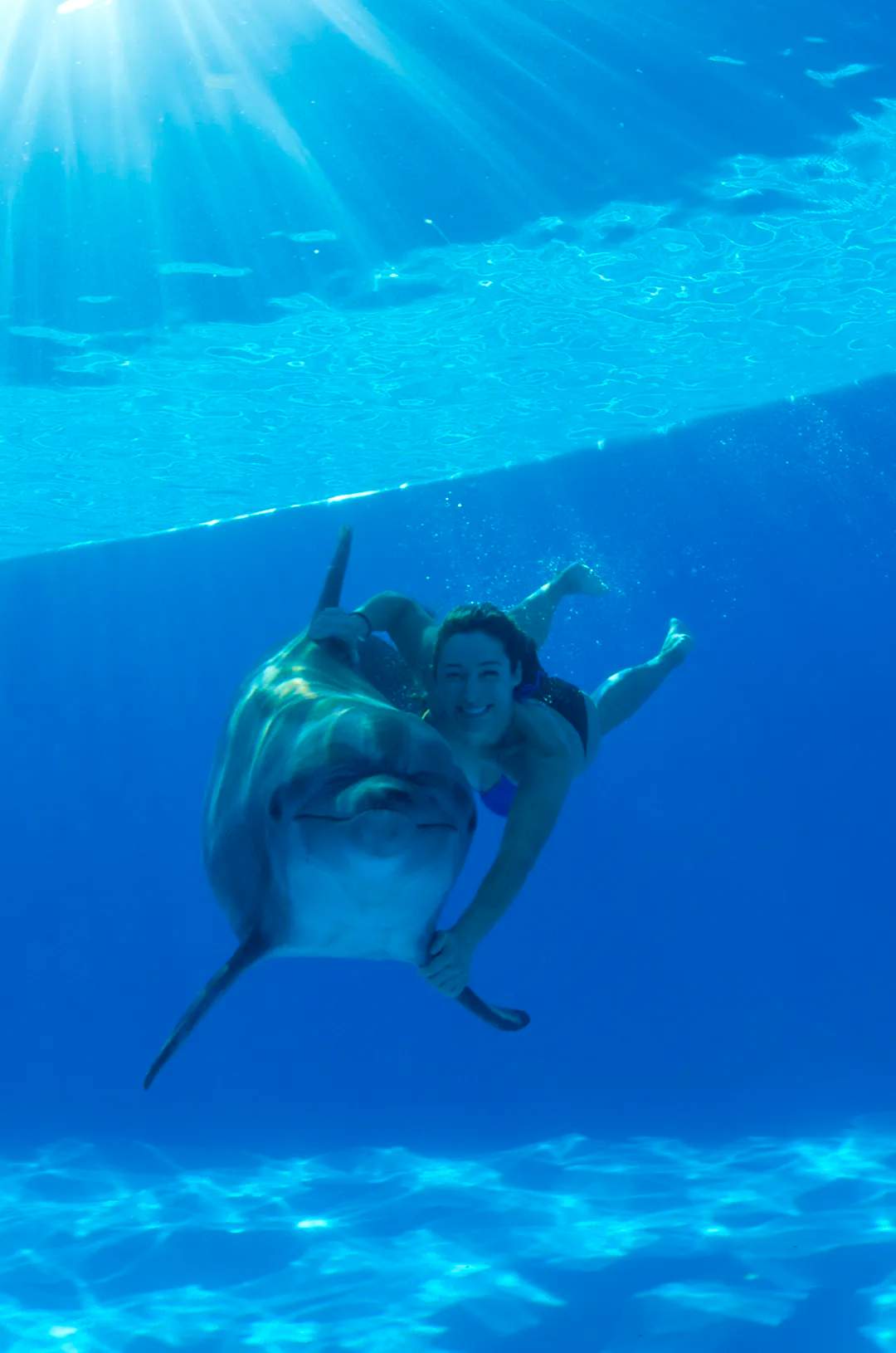 Dolphin trainer swimming underwater with a dolphin in Cabo, both smiling.