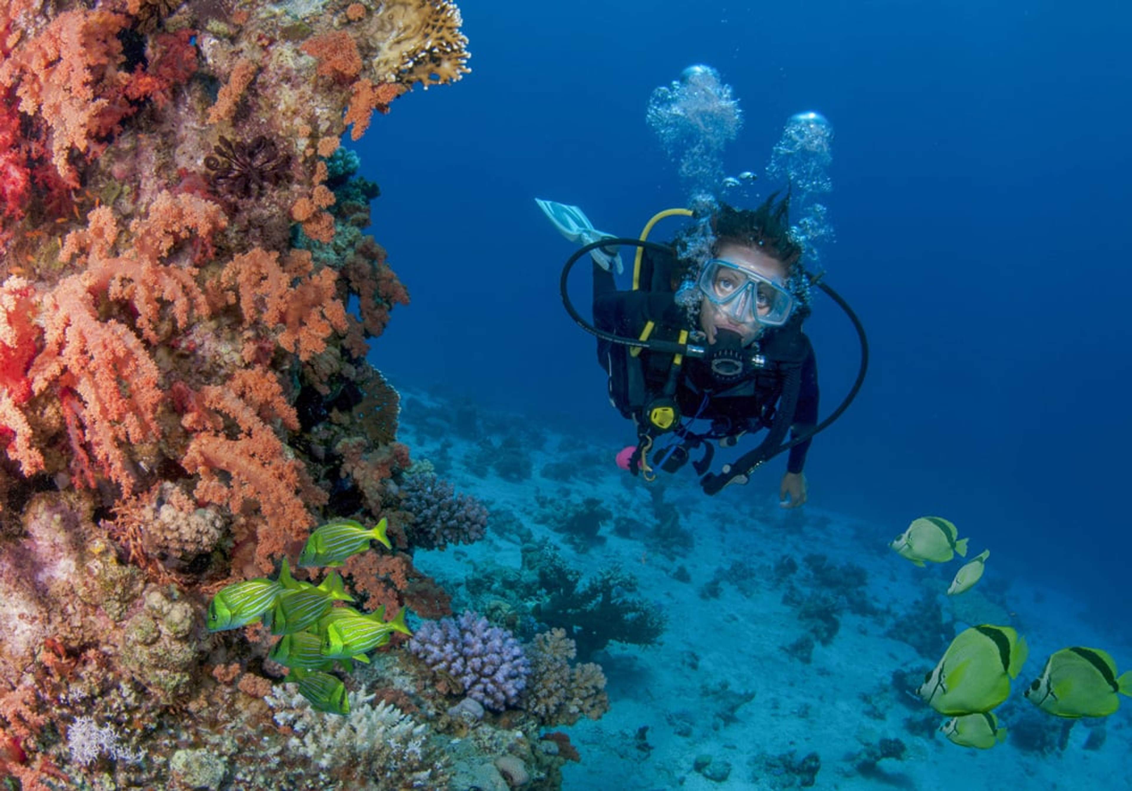 Scuba diving around the arch in Cabo