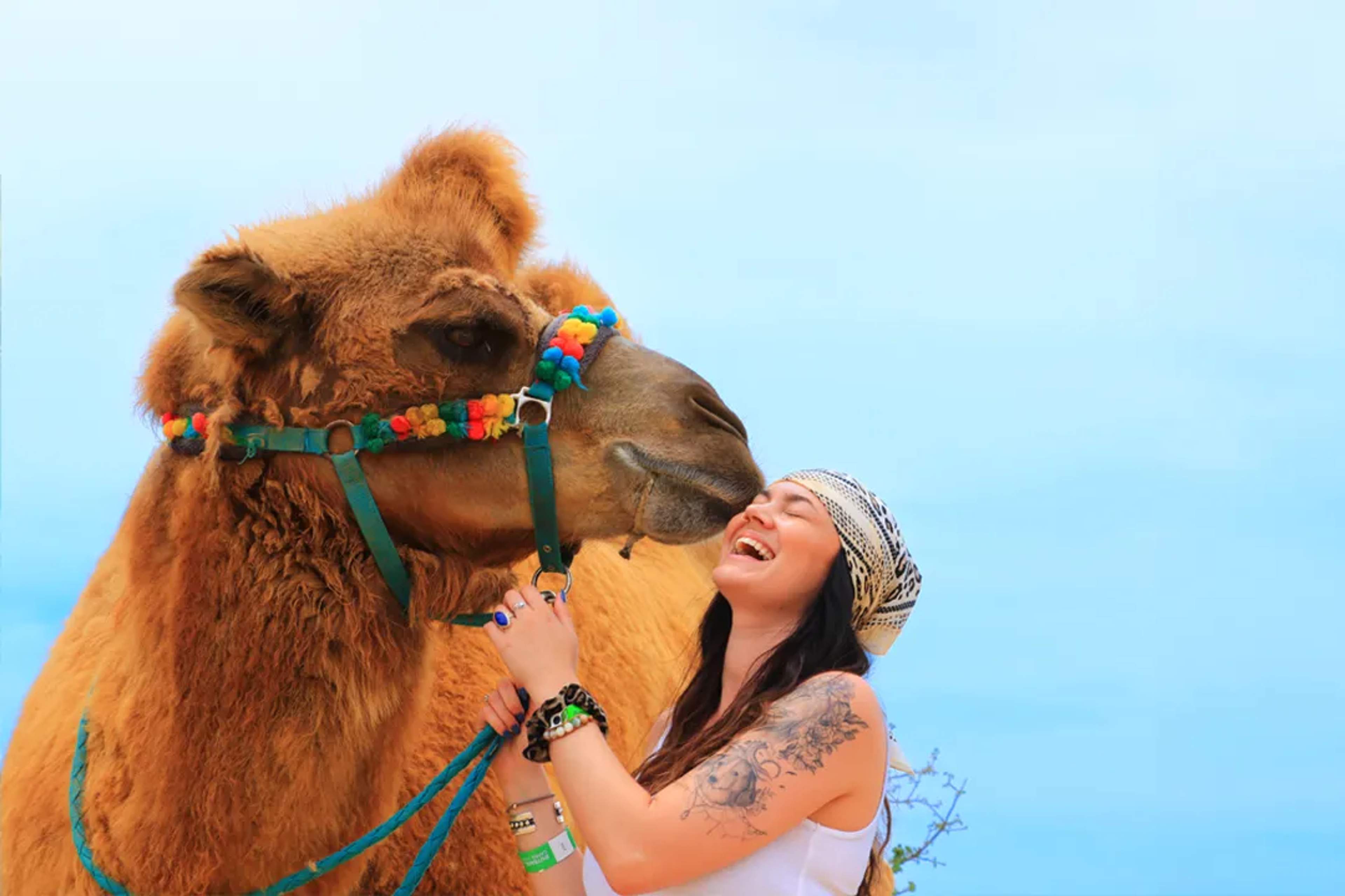 Your Cabo Vacation Itinerary: From Camels To Cruises, What You Can Expect To Find On Your Trip