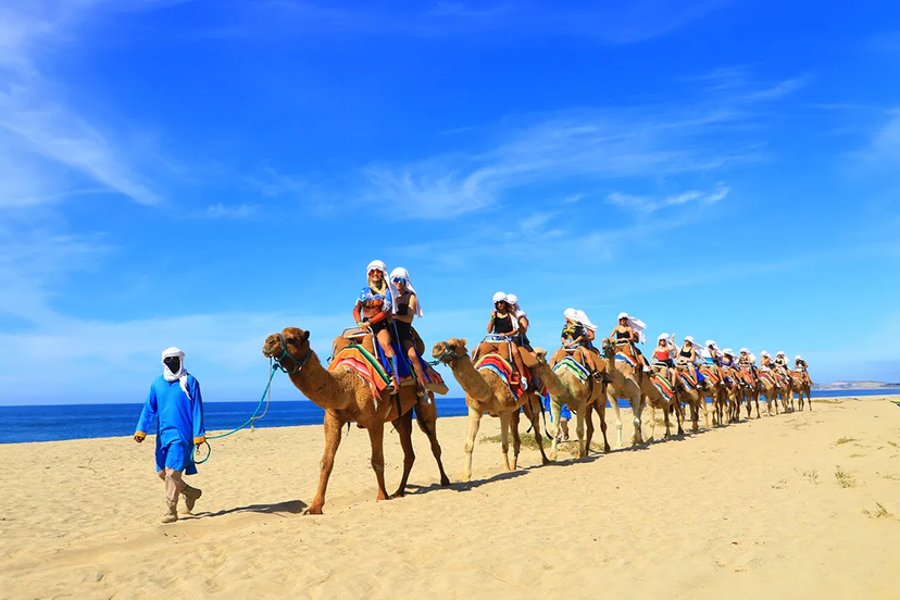 Vacationers’ Favorite Tours In Cabo San Lucas