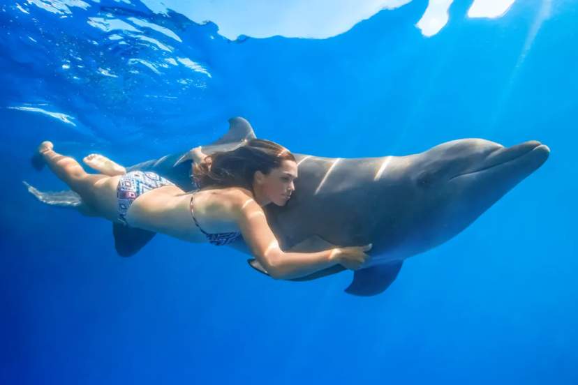 Cabo Dolphins: What To Expect With Each Dolphin Experience