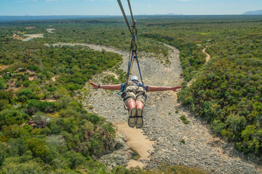 A woman's back is visible as she zips through the air on a zipline in Los Cabos, enjoying a thrilling adventure over a desert landscape dotted with lush greenery.