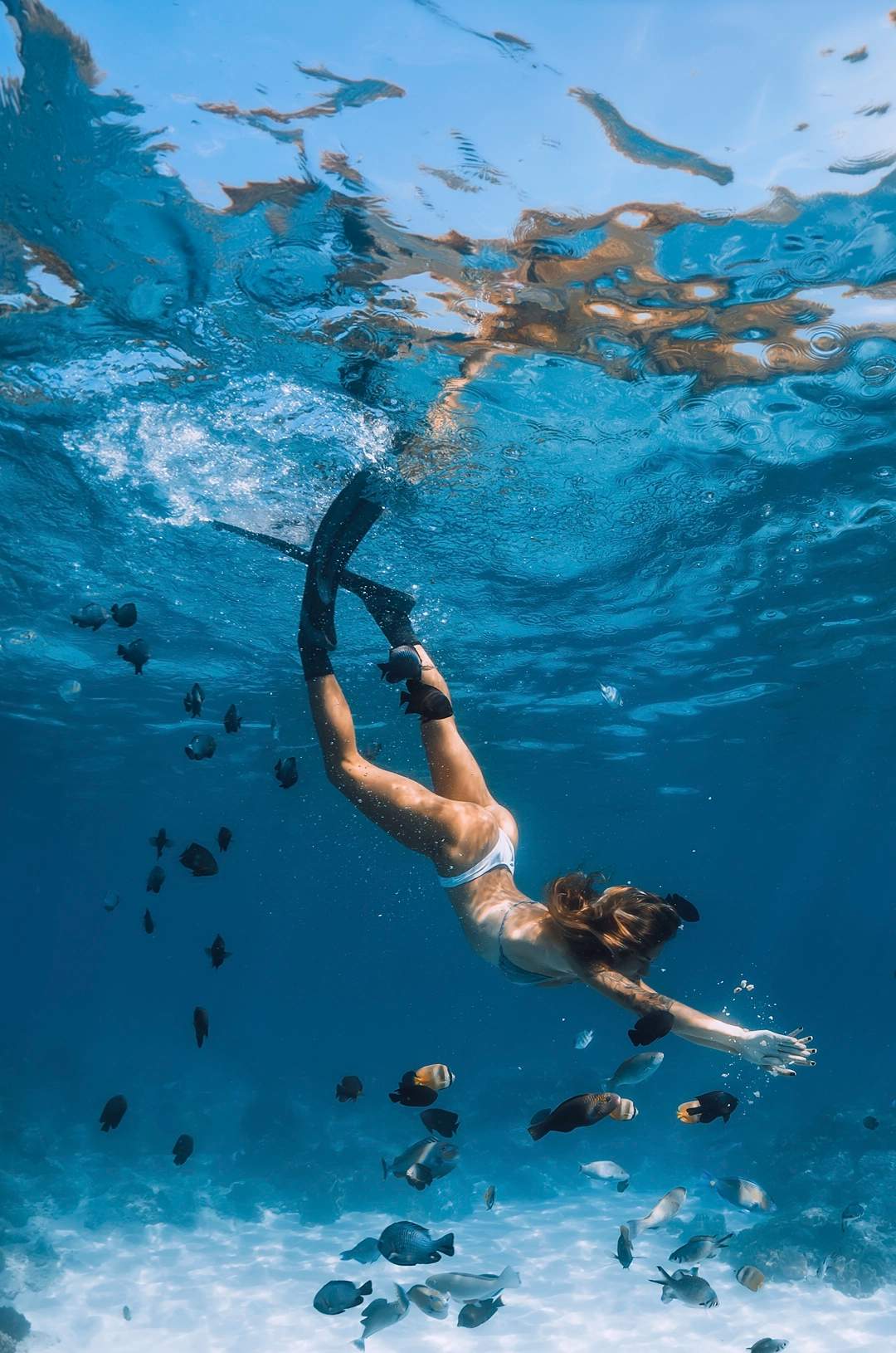 A snorkeler swimming underwater among fish and coral in clear blue water.
