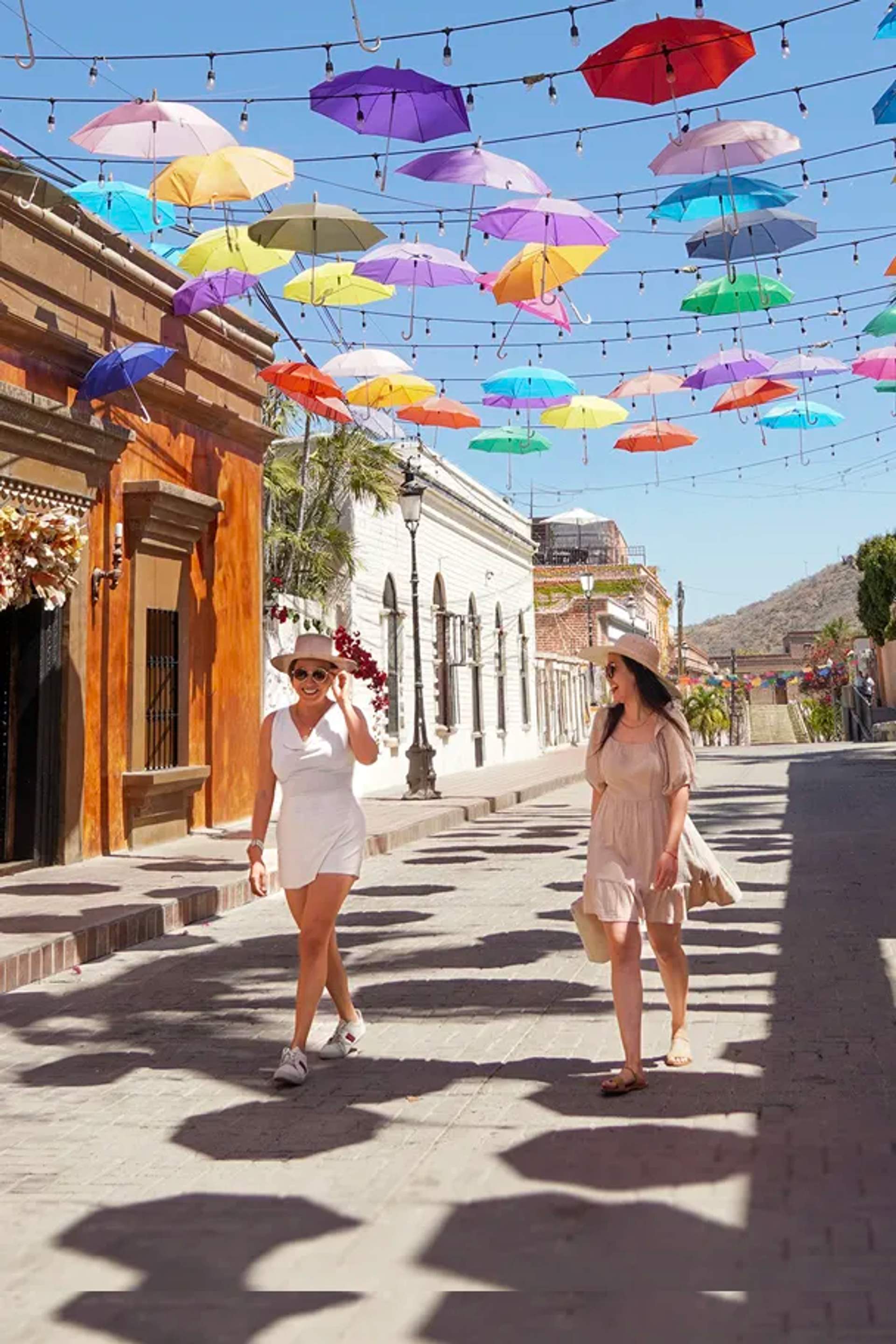 Enjoy some of the Best Cabo Walking Tours.