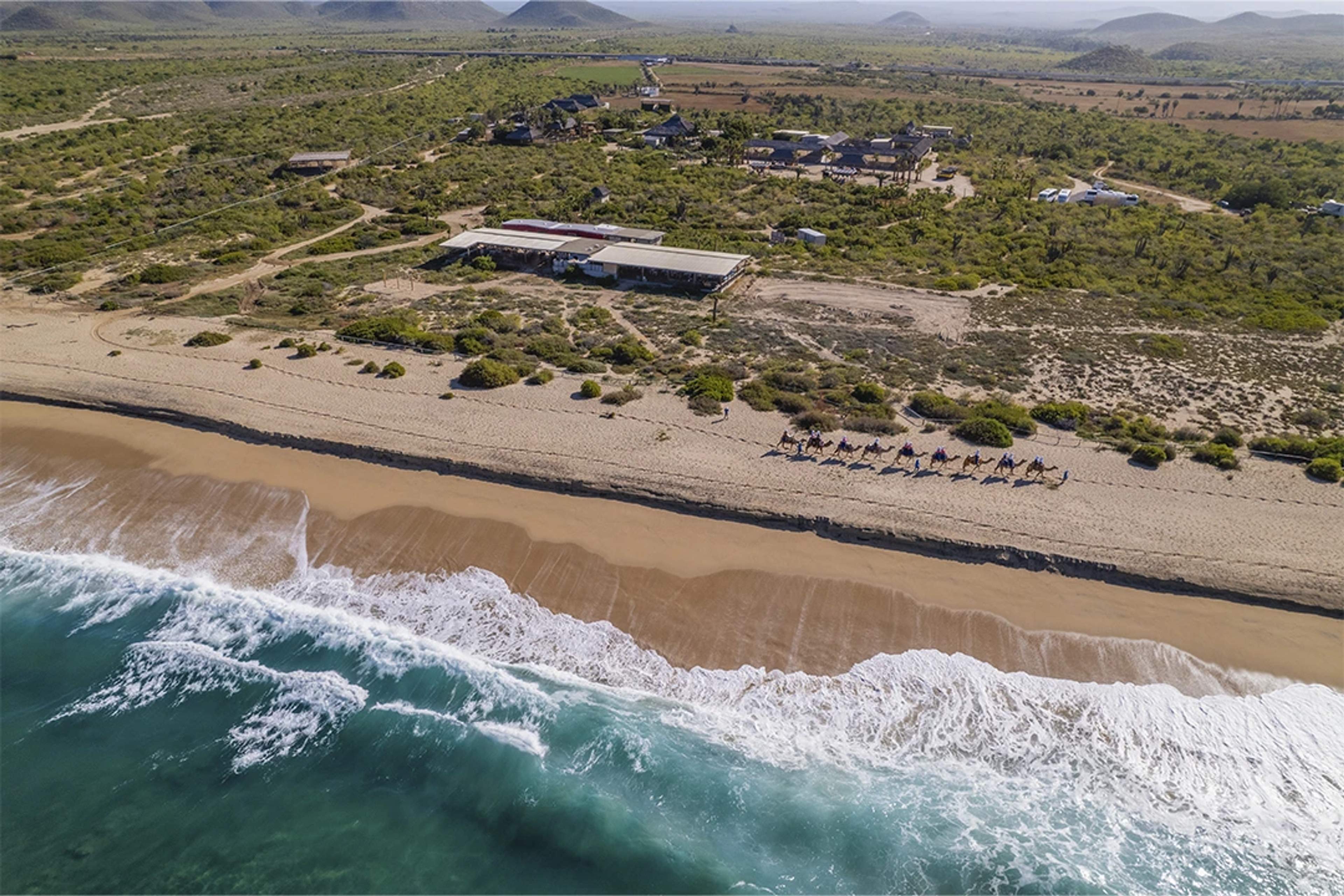 Aerial view of a beachside desert landscape with buildings and a line of people riding camels along the shoreline.