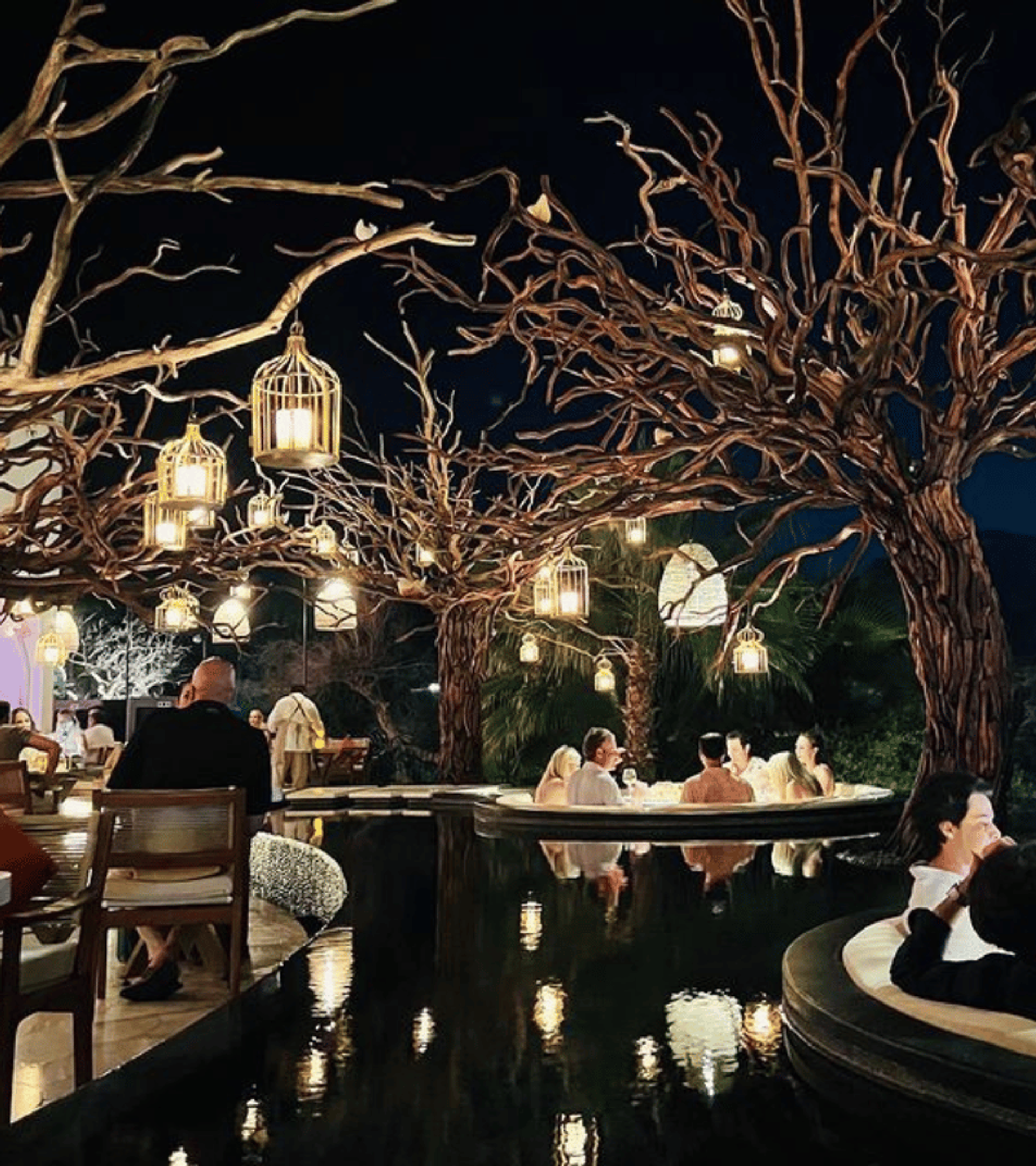 dinner under the stars