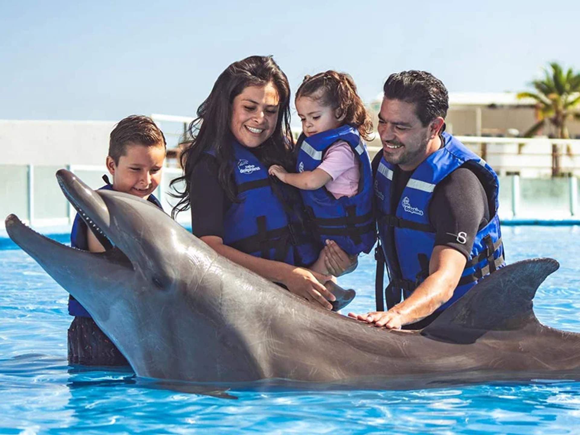 A family wearing life vests smiles and interacts with a dolphin in a pool.