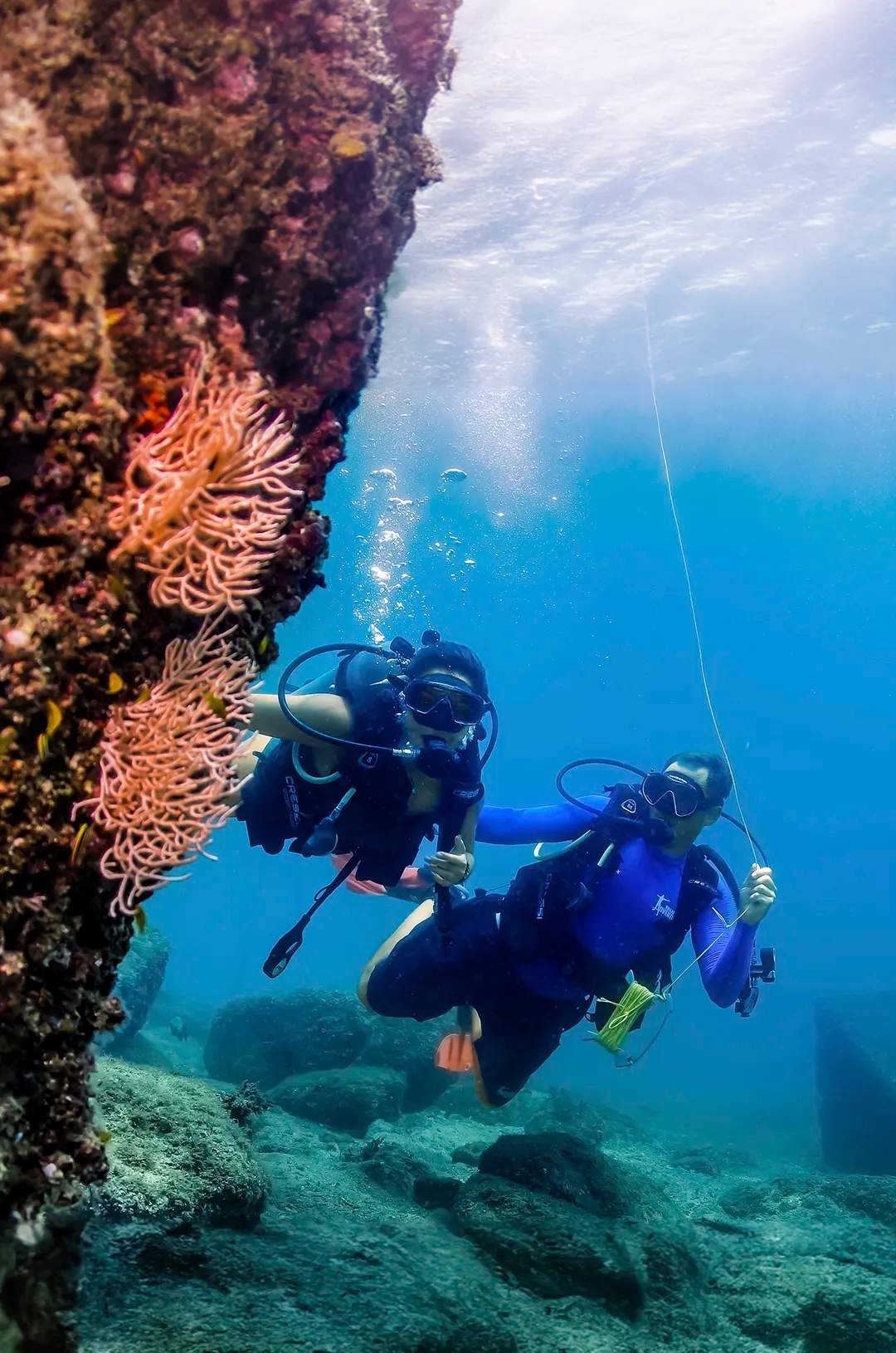Two divers explore an underwater reef, observing corals and marine life