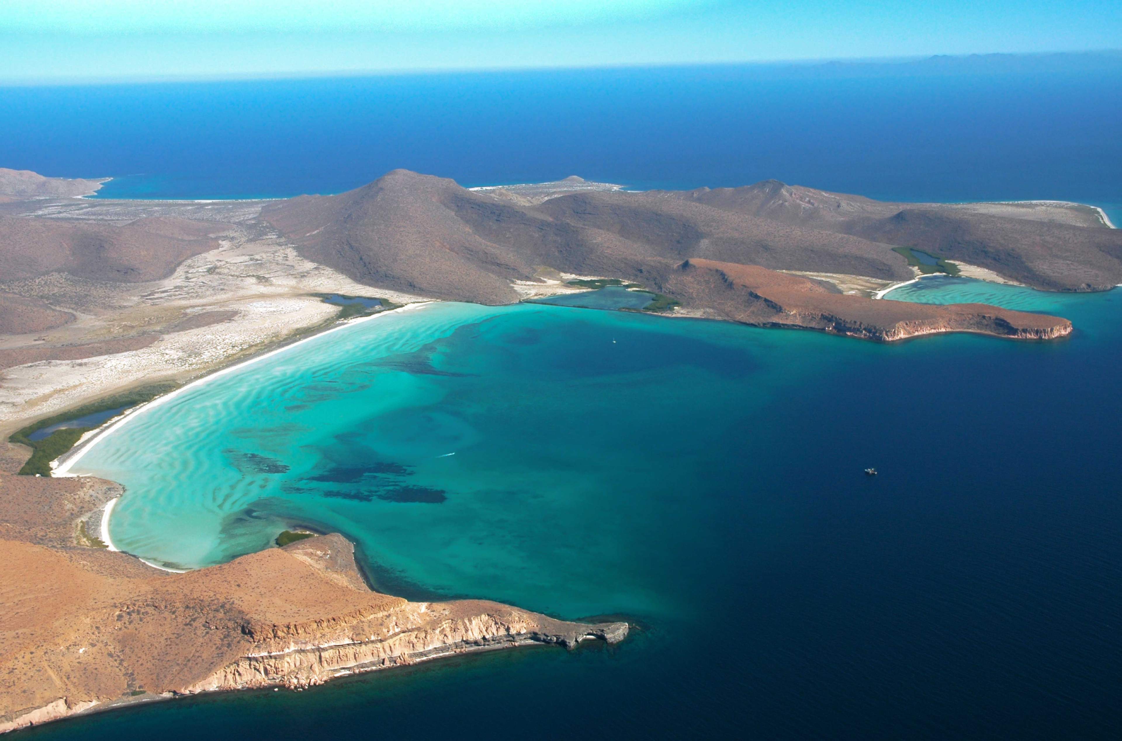 Sea of Cortes big caleta 