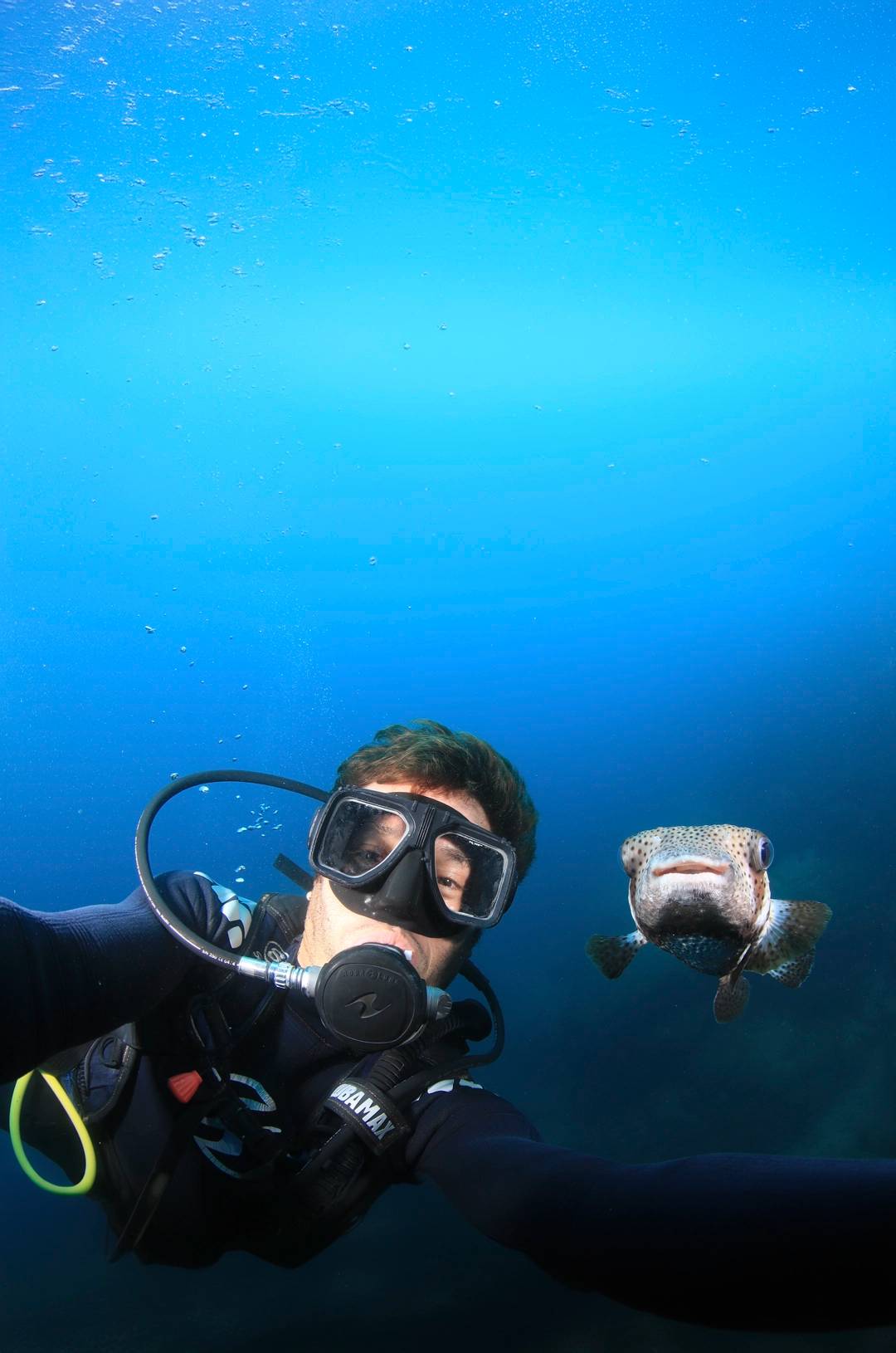 A scuba diver taking a selfie underwater with a curious fish nearby, both framed against the deep blue ocean background.