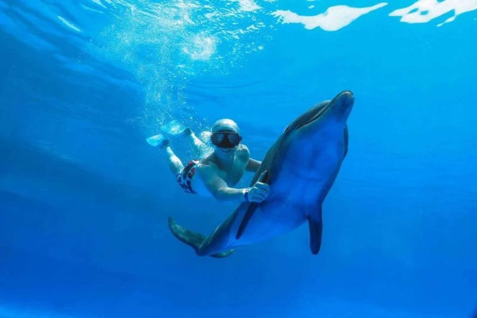 A person in snorkeling gear swims underwater while holding onto a dolphin.