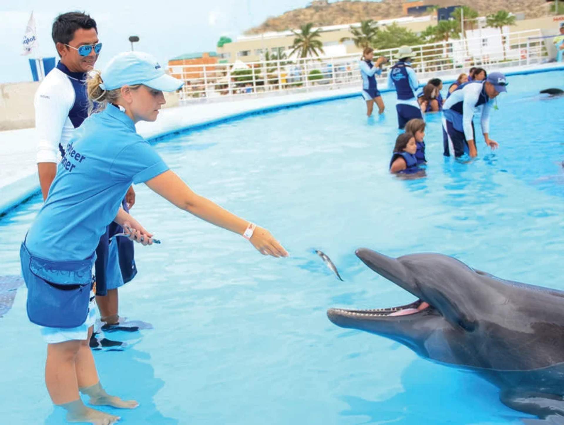 A trainer in a blue uniform feeds a dolphin a small fish in a large outdoor pool, with another trainer and children interacting with more dolphins in the background. The scene is lively and educational, emphasizing the care and engagement between humans and dolphins in a controlled environment.