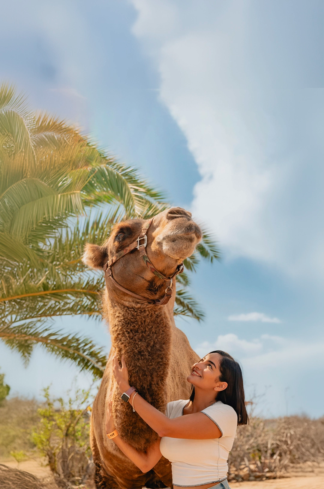Smiling woman hugging a camel under a palm tree in a sunny environment