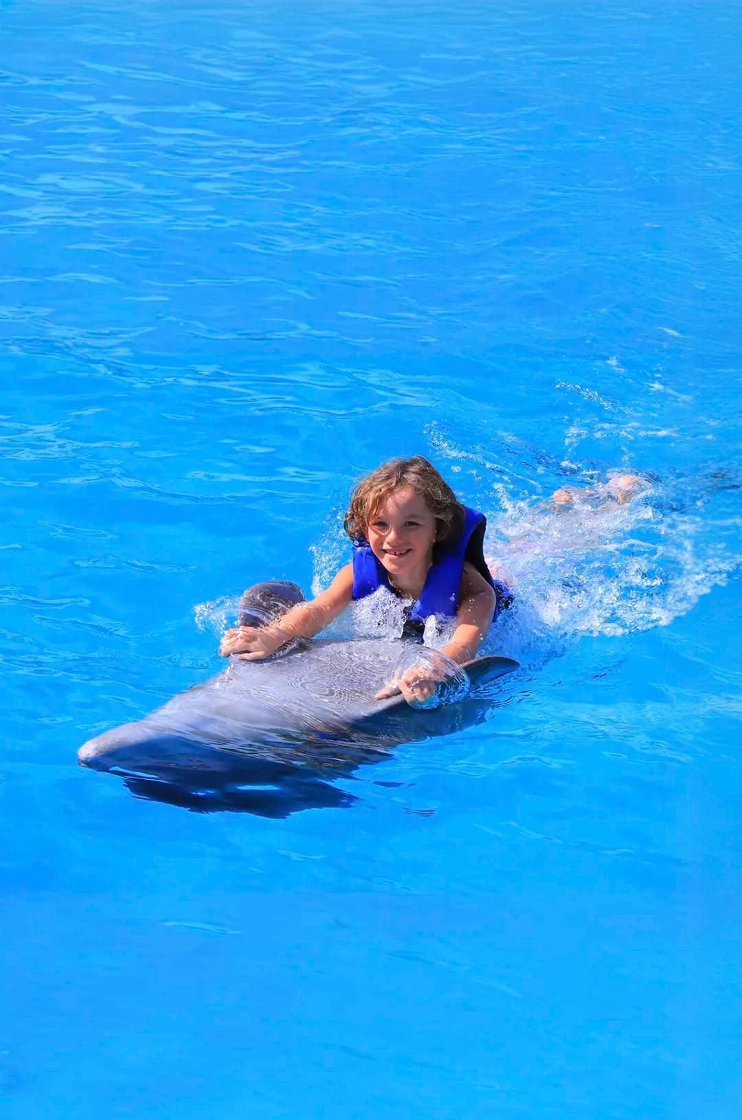 Girl enjoying a dolphin swim experience in Cabo San Lucas.