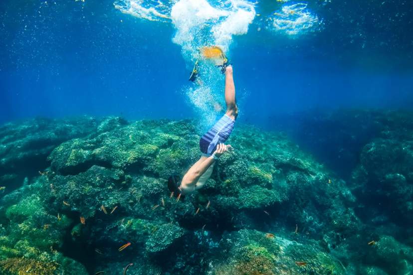 Guide to La Paz, México