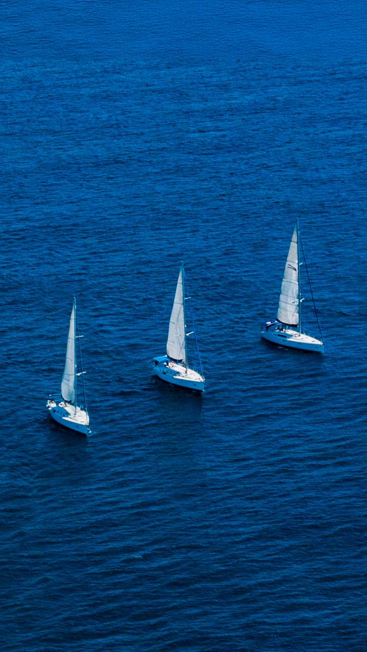 Seven sailboats lined up, sailing on blue waters, creating a harmonious view on the sea.