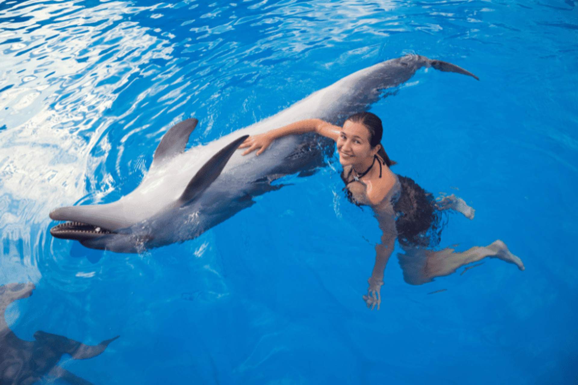A woman in a swimsuit smiles while swimming with a dolphin in a clear blue pool.