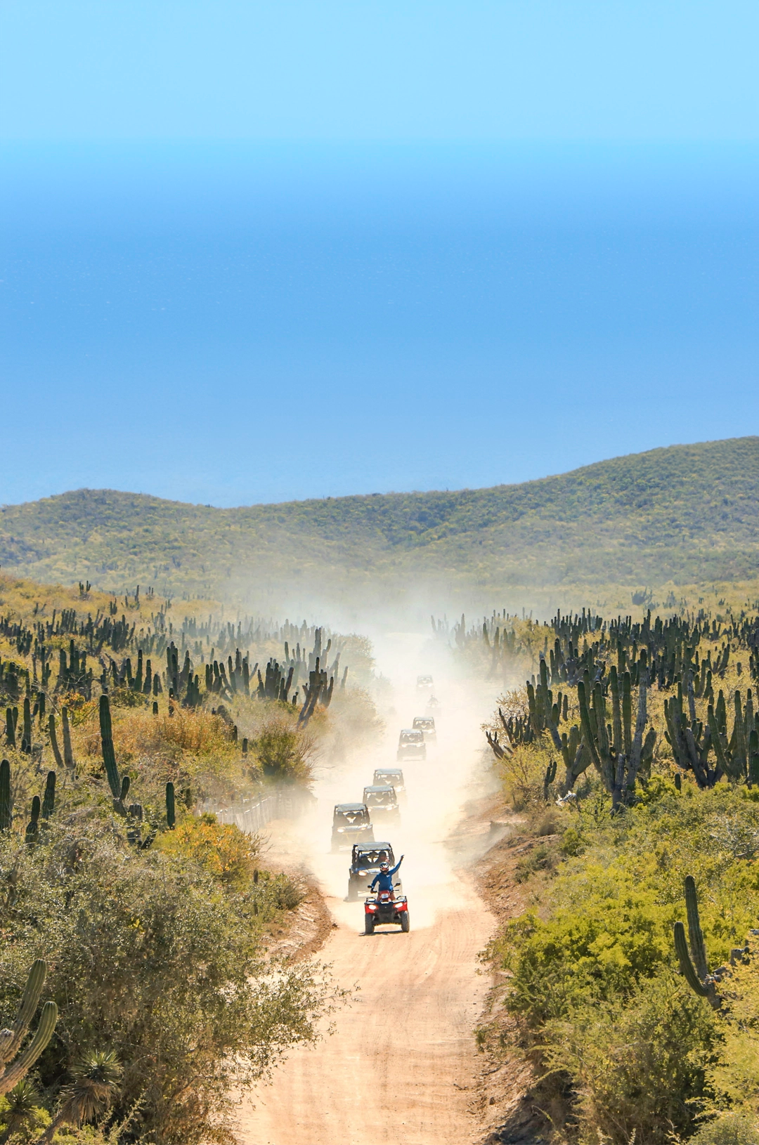Caravan of UTVs on a dusty trail among cacti, with a view of the sea in Cabo San Lucas.