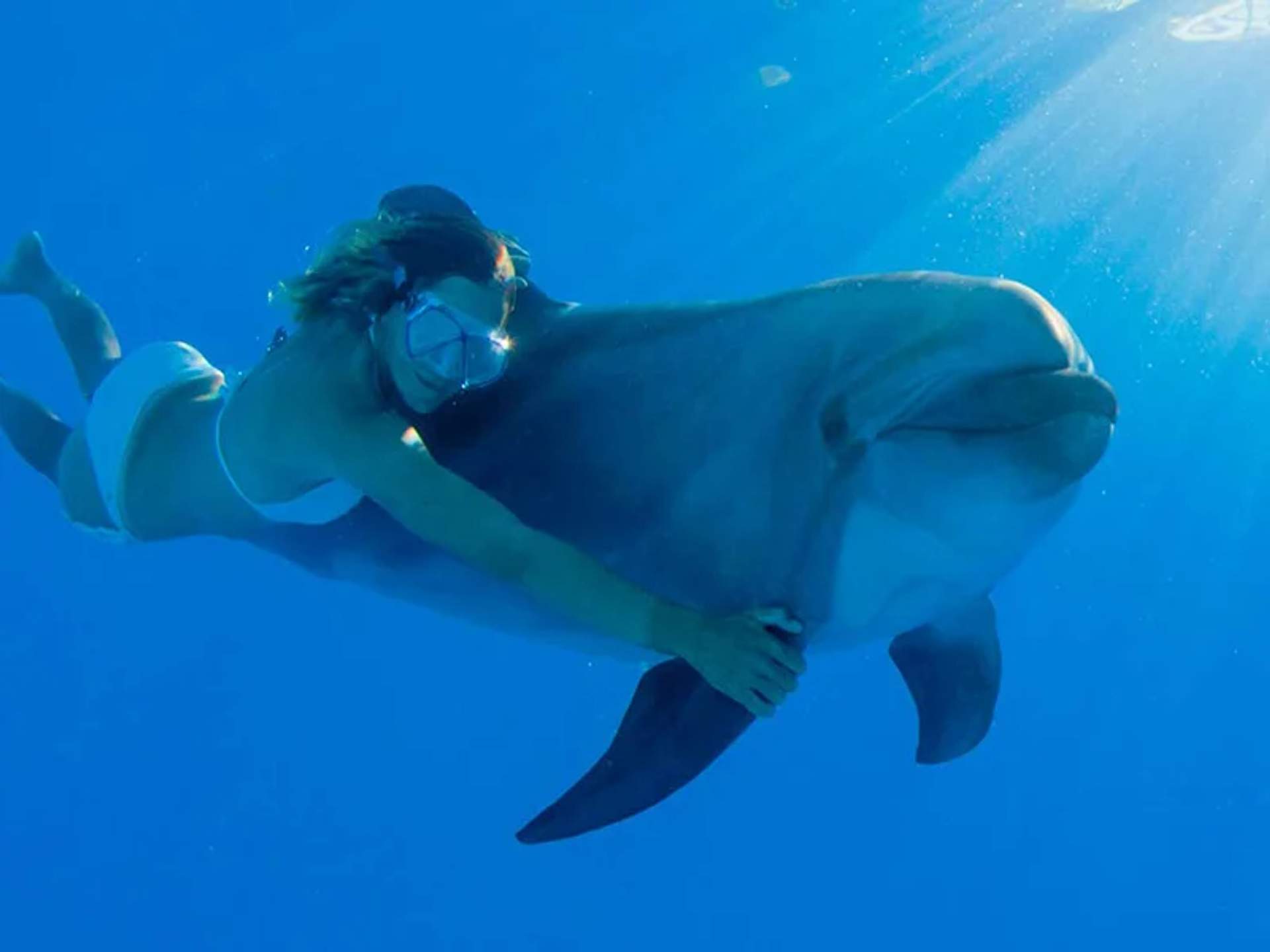 A woman in snorkeling gear swims underwater while holding onto a dolphin, with sunlight streaming through the water.