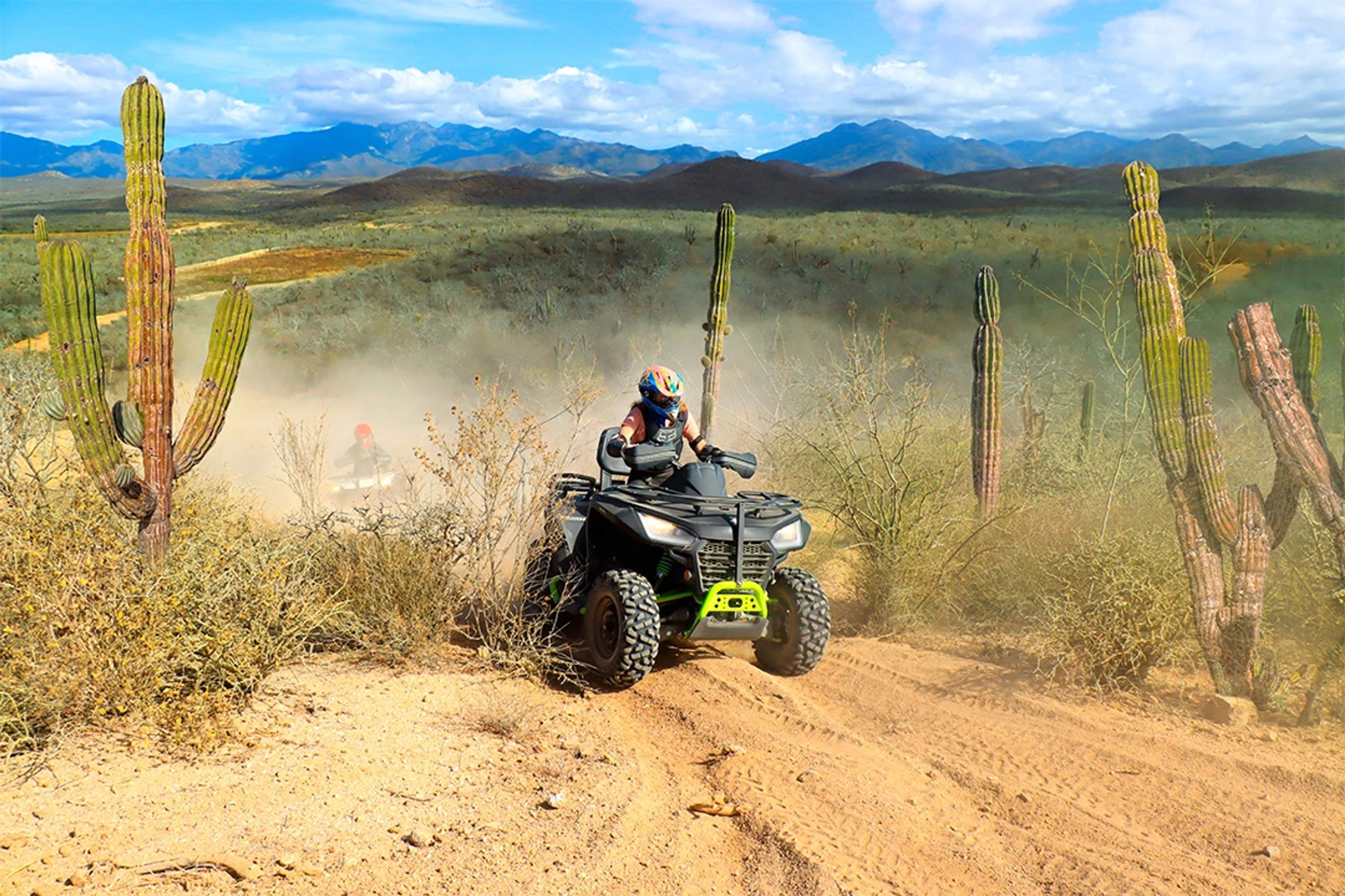 ATV rider navigating a dusty desert trail surrounded by tall cacti, with mountains visible in the background.