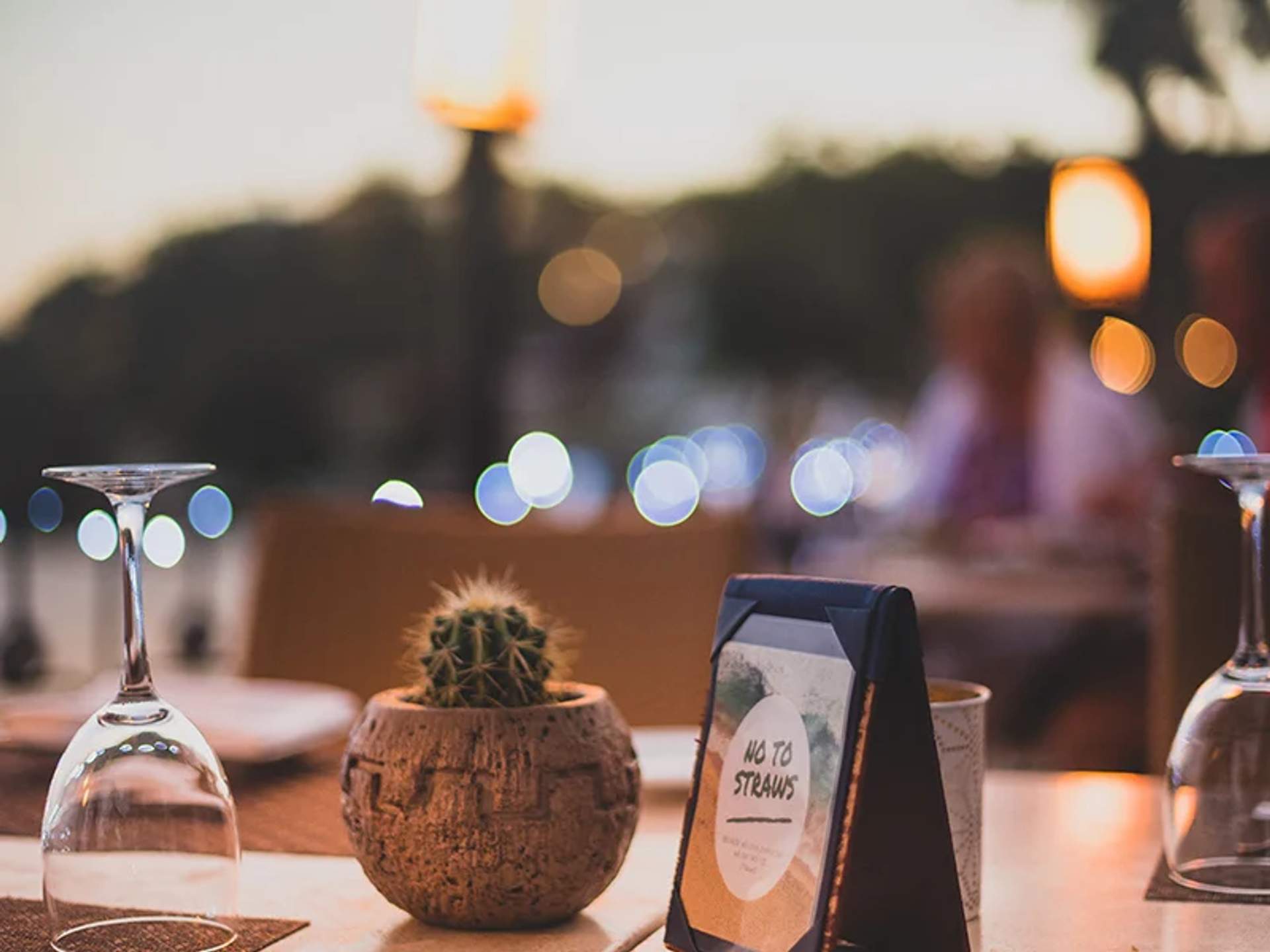 Close-up of a table set for dining with a small cactus in a pot and a sign that reads "No to Straws," with blurred lights in the background.