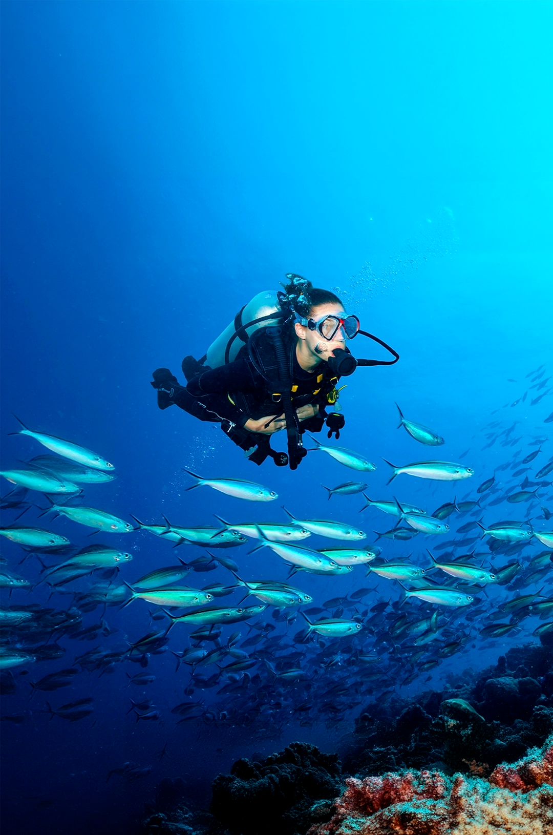 Scuba diver swimming alongside a school of fish in clear blue water near a coral reef.