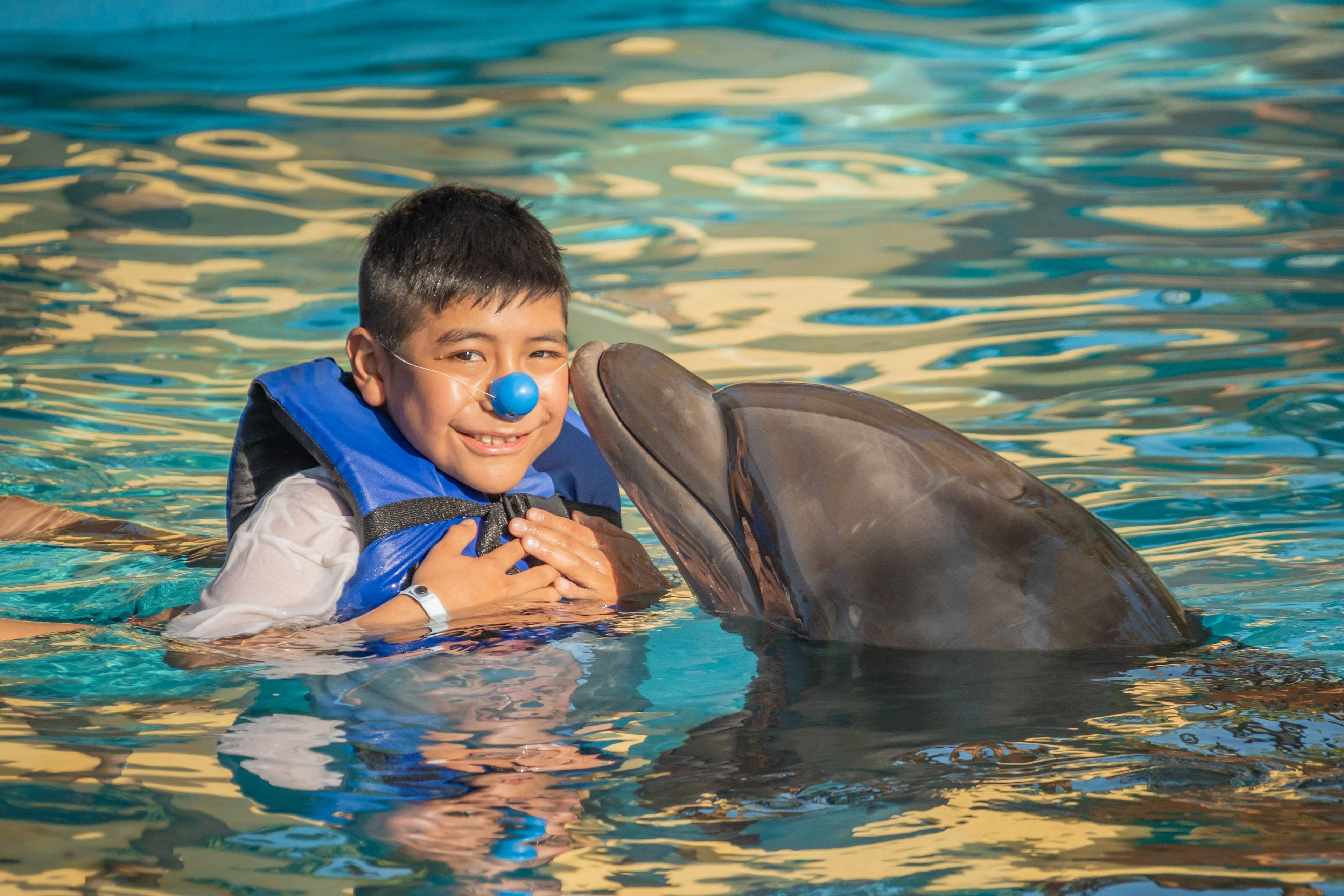 Kid with dolphin in an interactive program