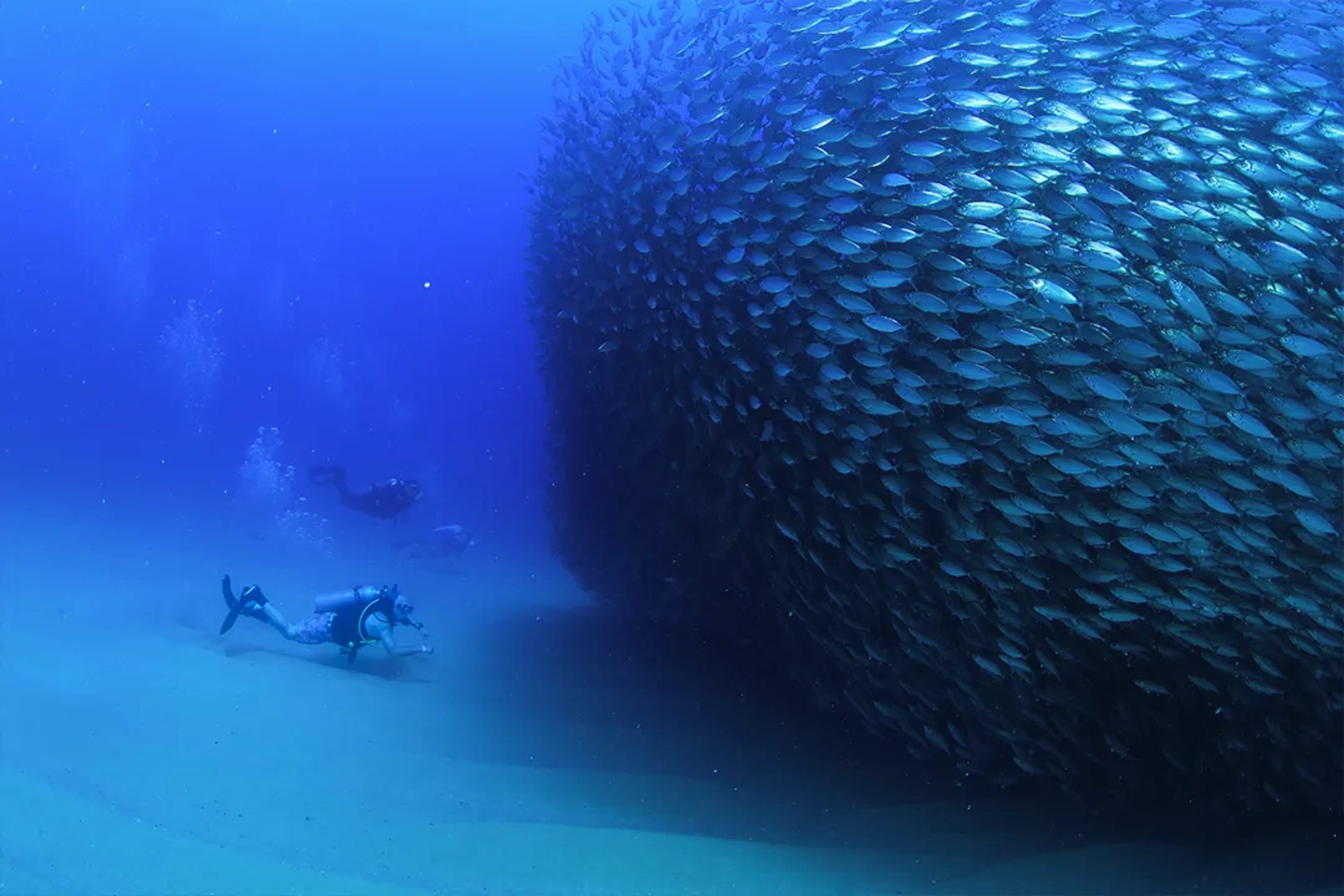 THINGS TO DO IN CABO PULMO